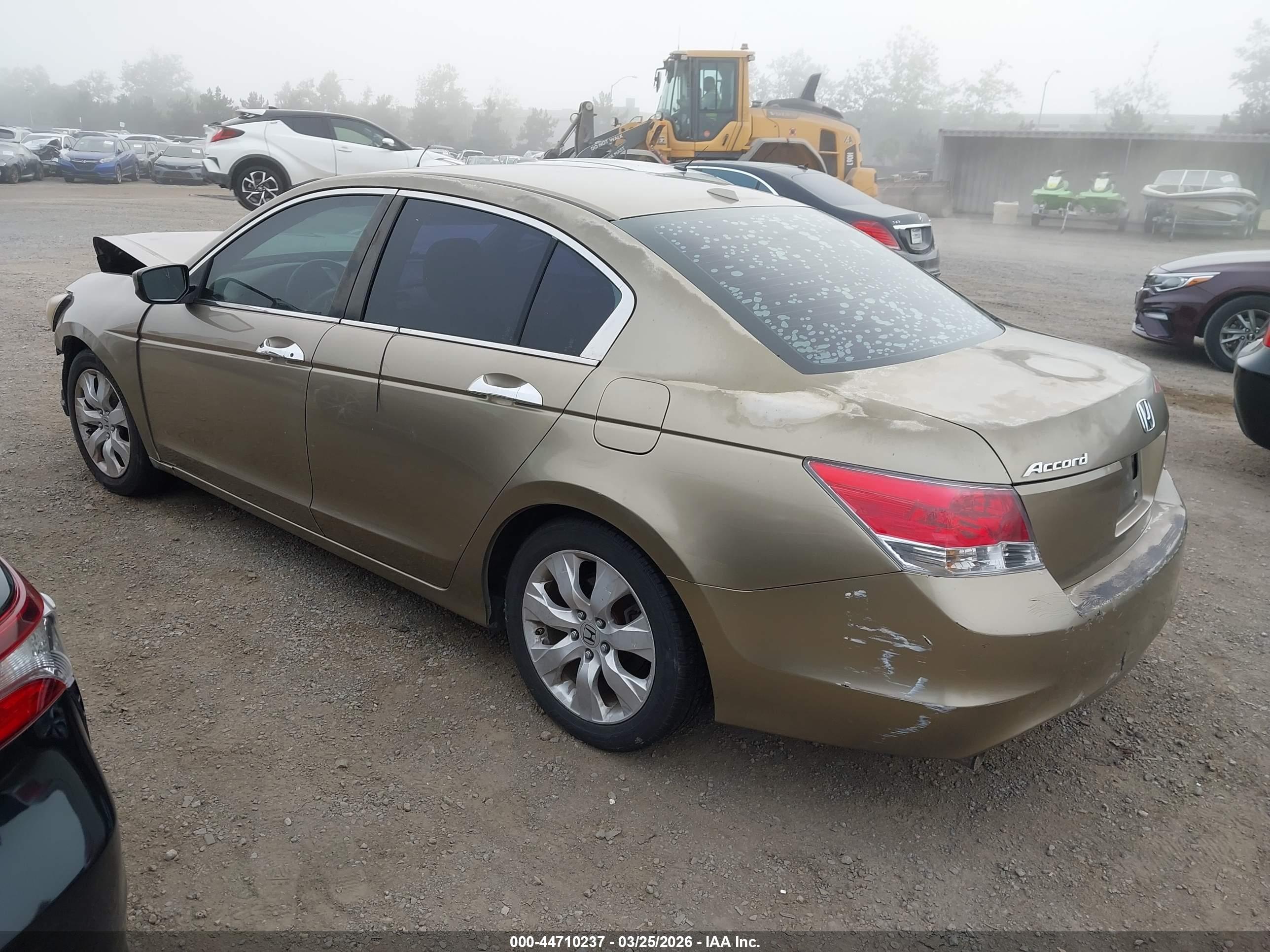 HONDA ACCORD image 3