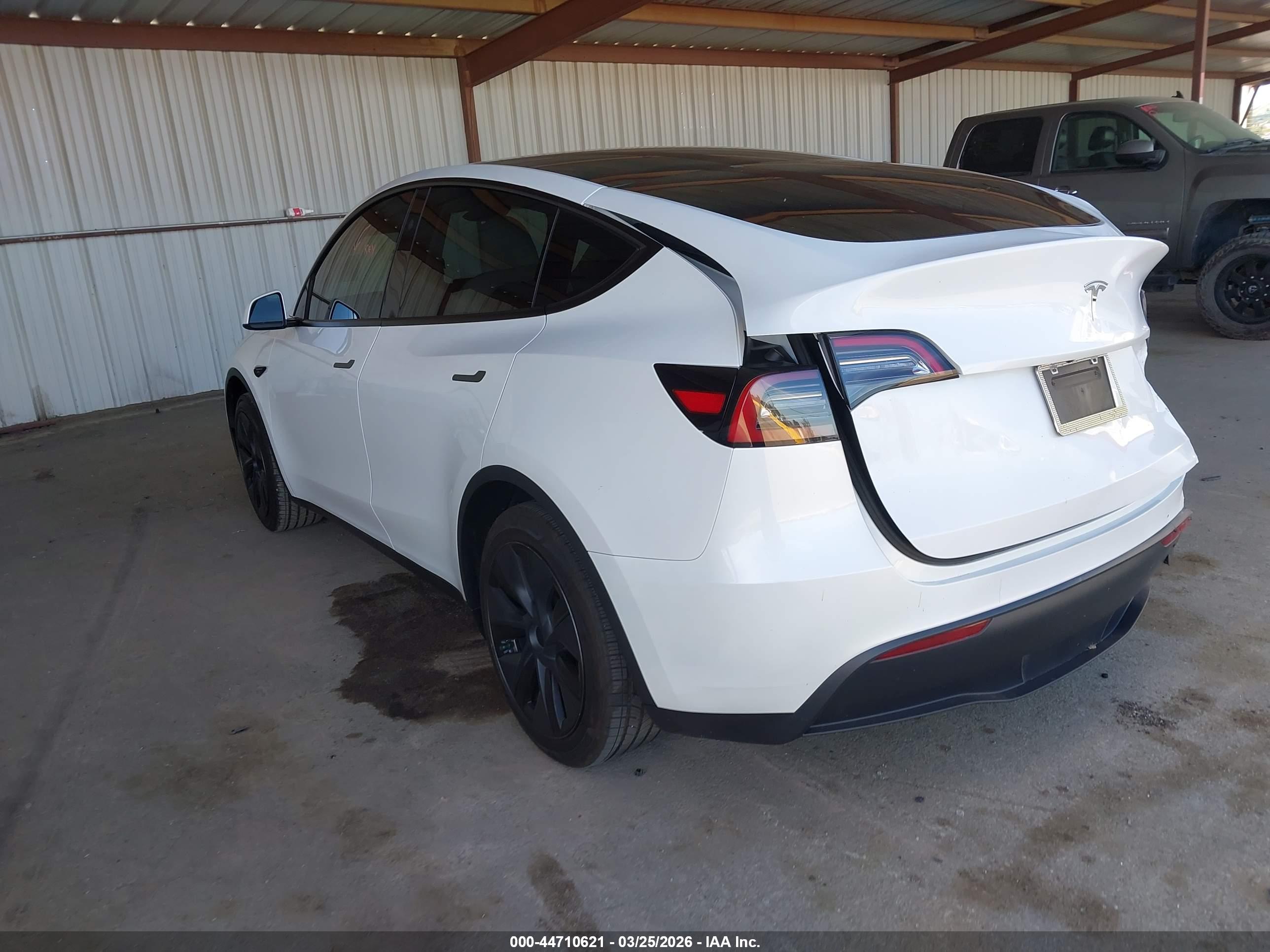 TESLA MODEL image 3