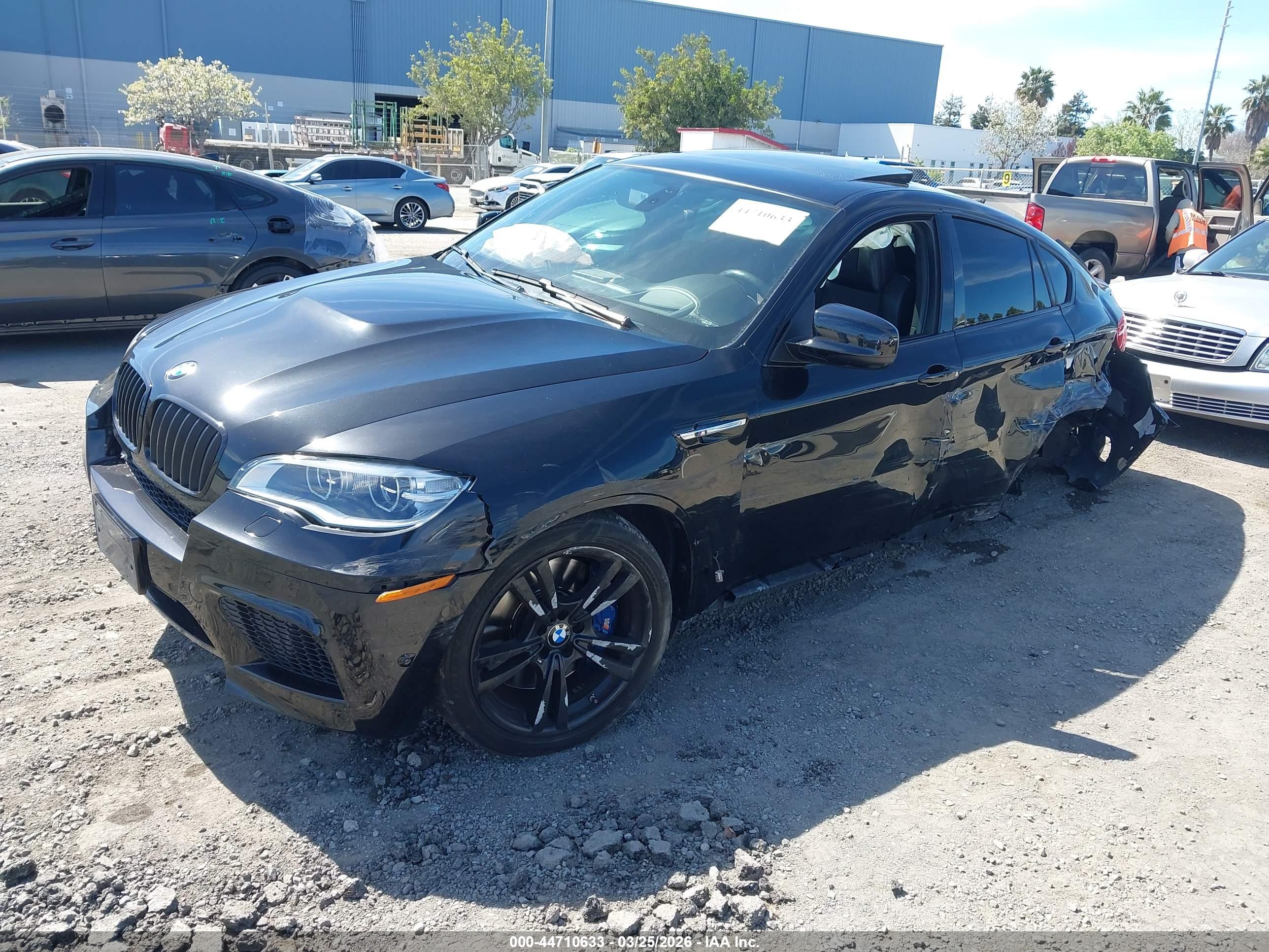 BMW X6 image 2