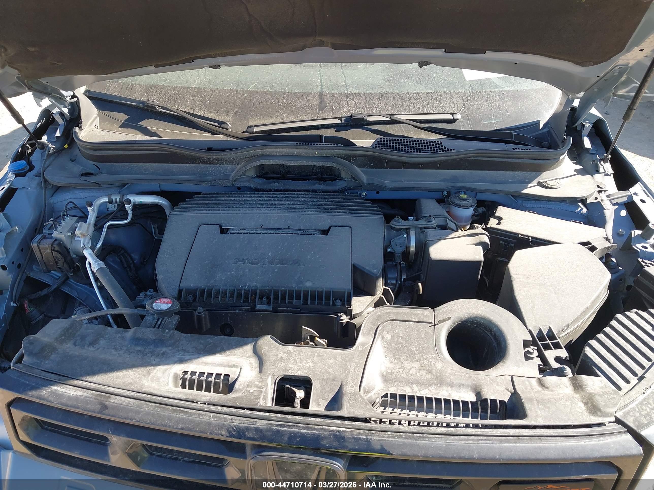 HONDA PASSPORT image 10