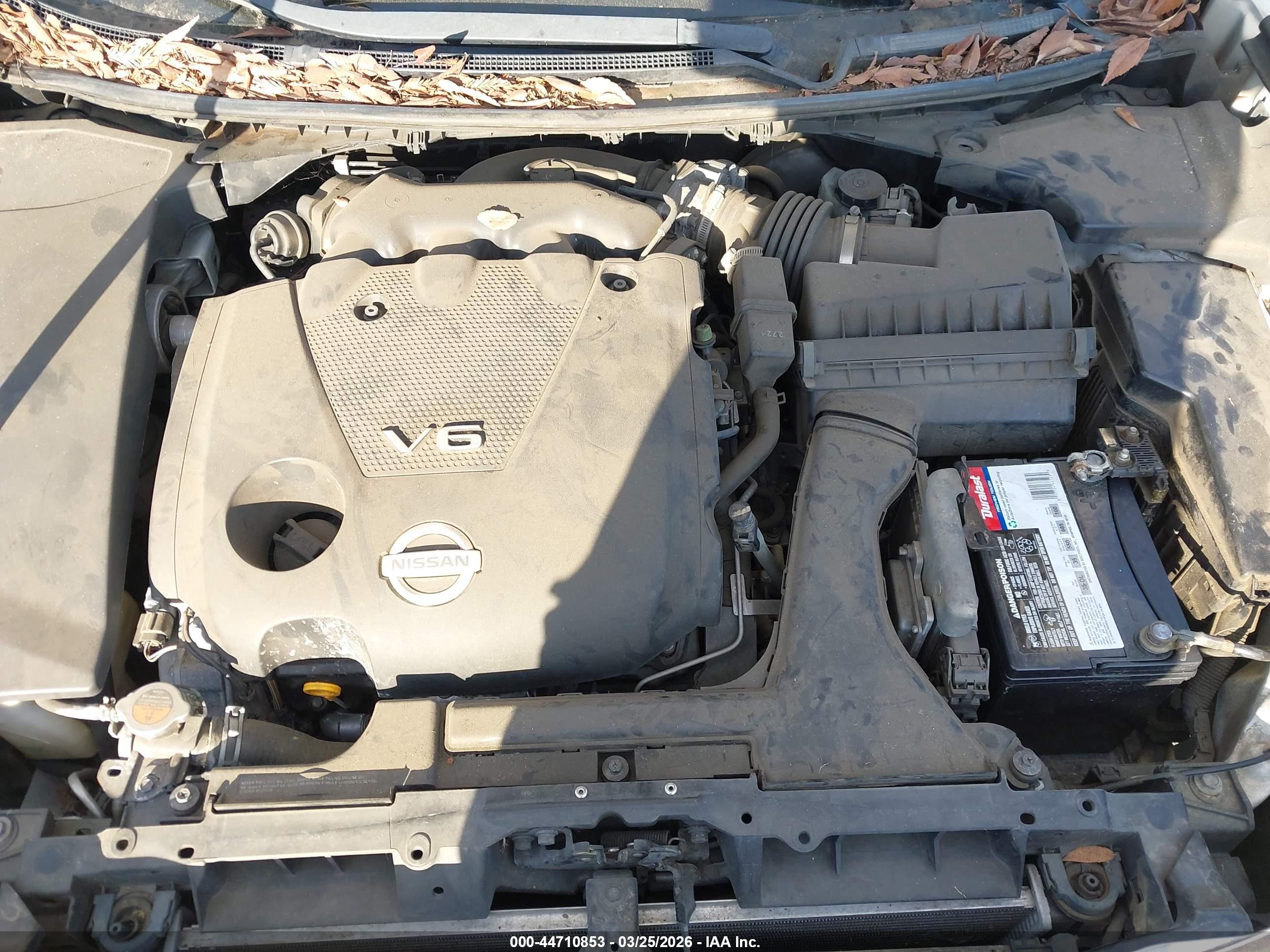 NISSAN MAXIMA image 10