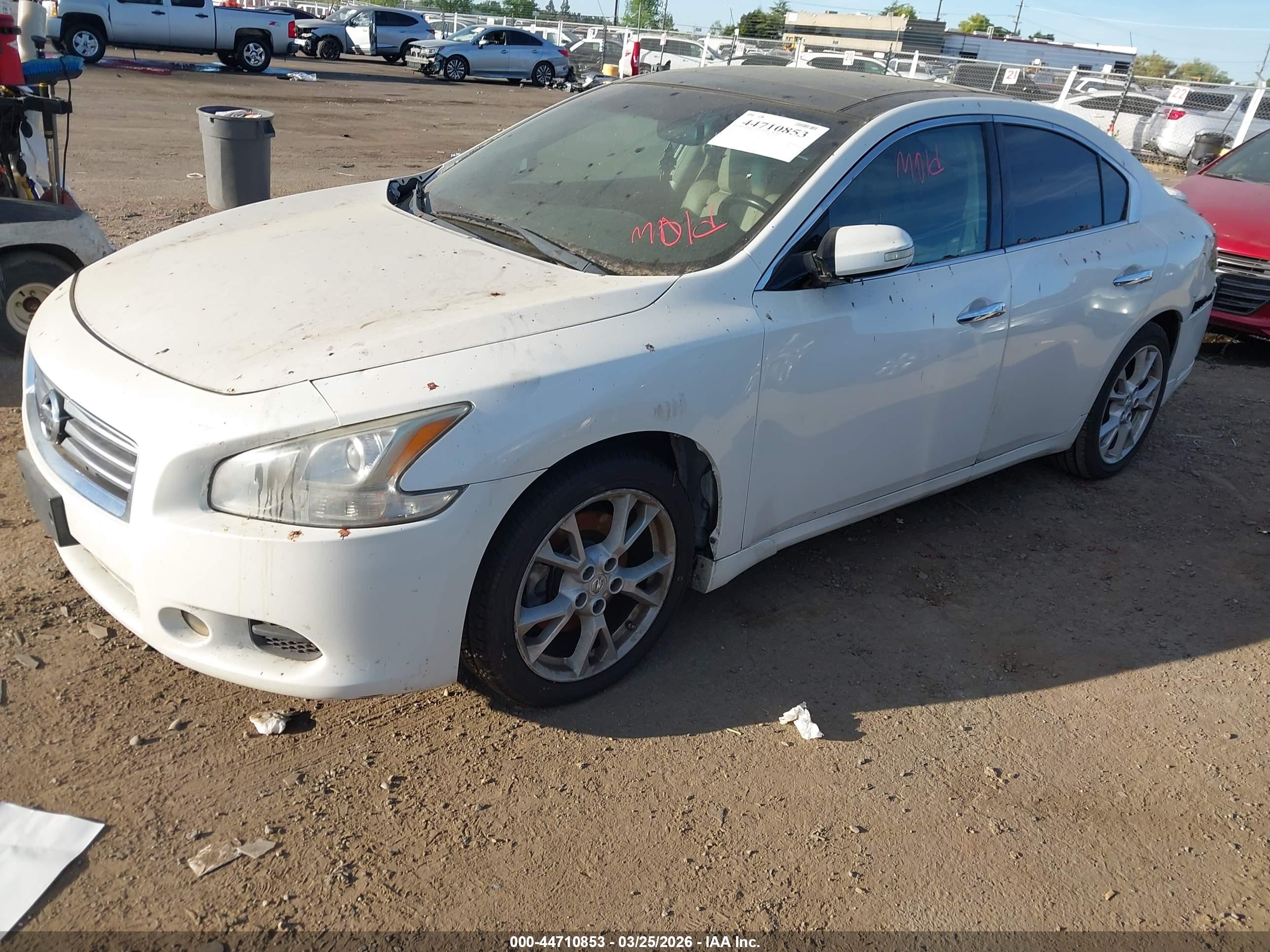 NISSAN MAXIMA image 2