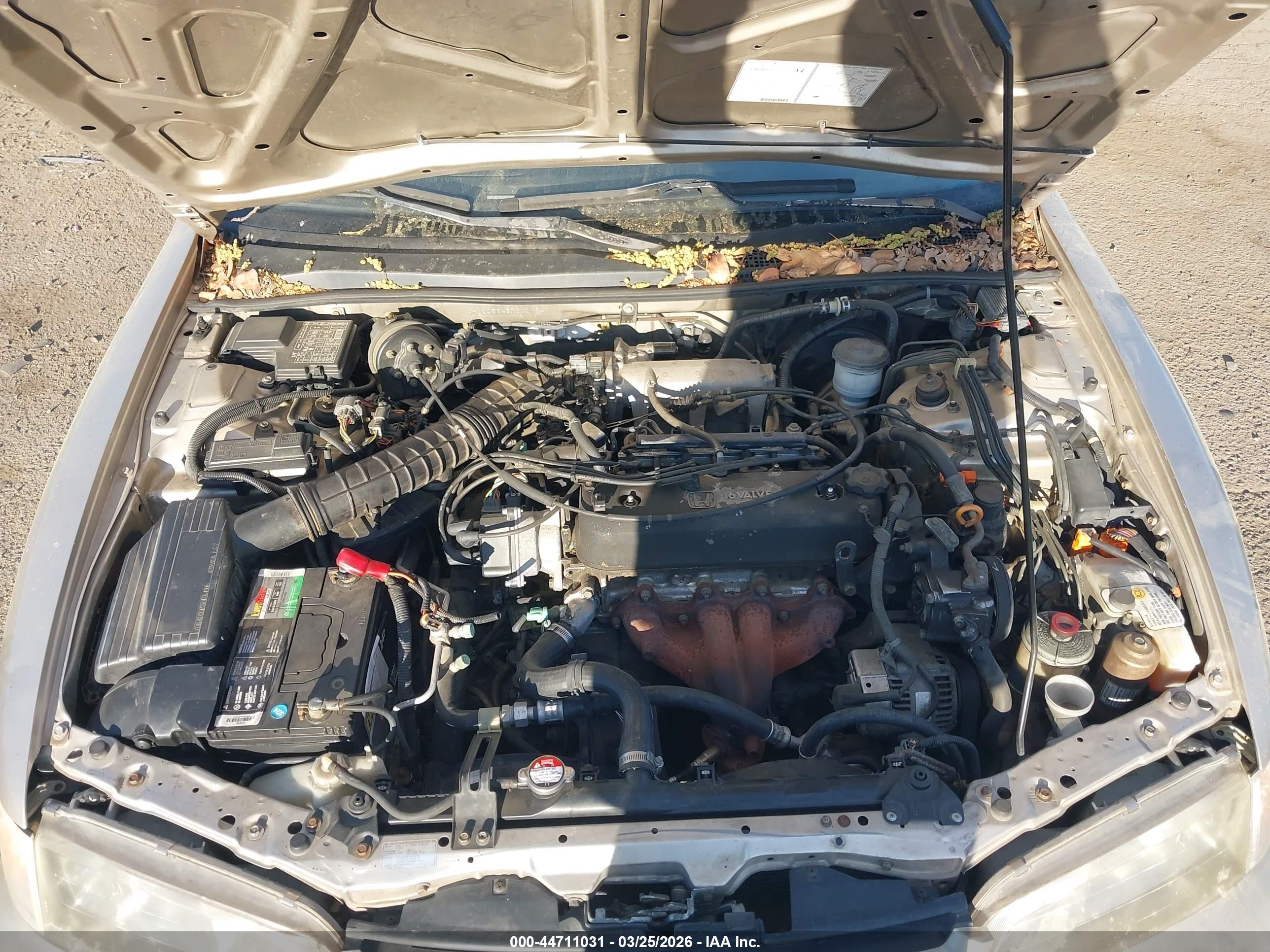 HONDA ACCORD image 10