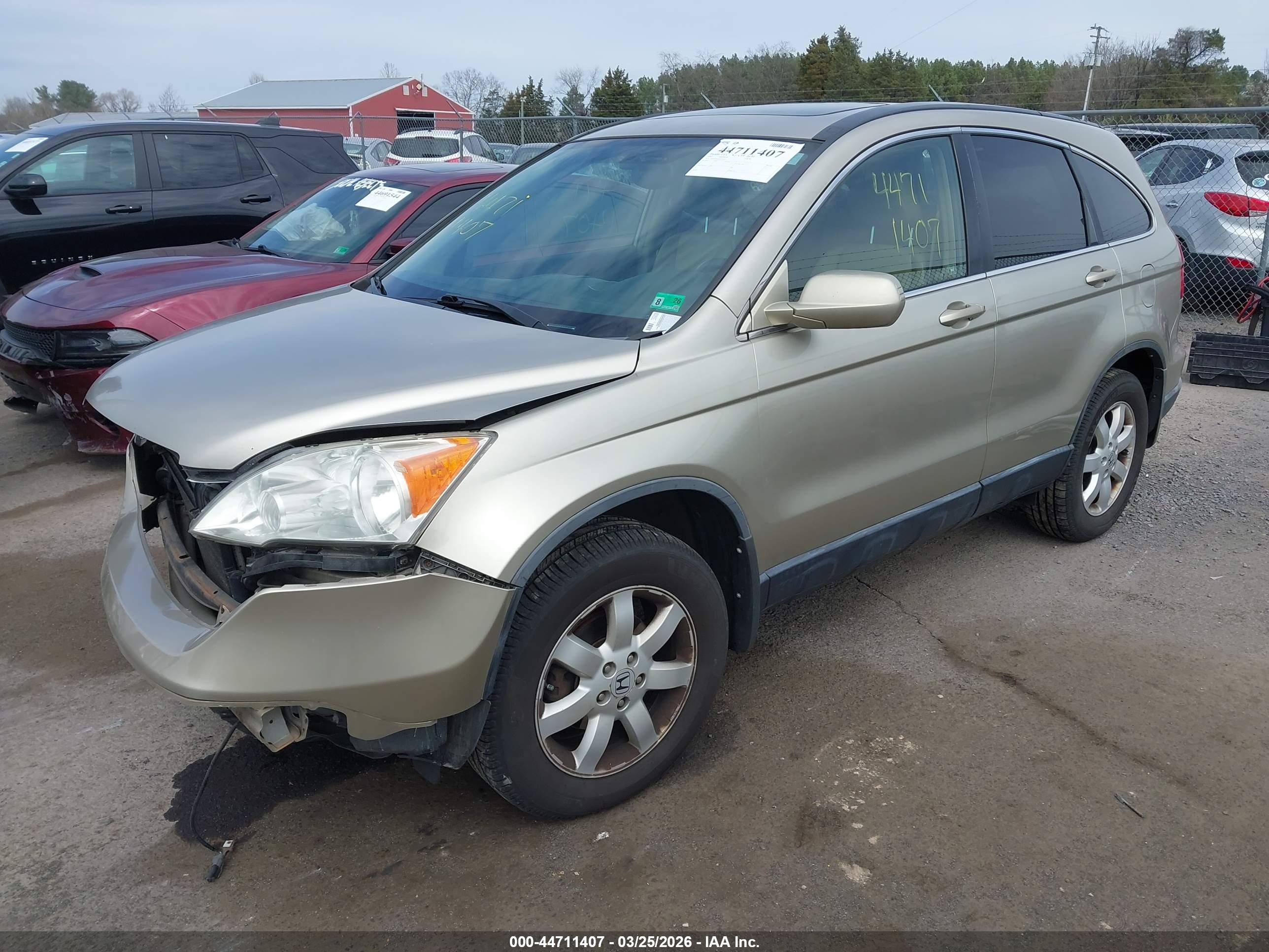 HONDA CR-V image 2