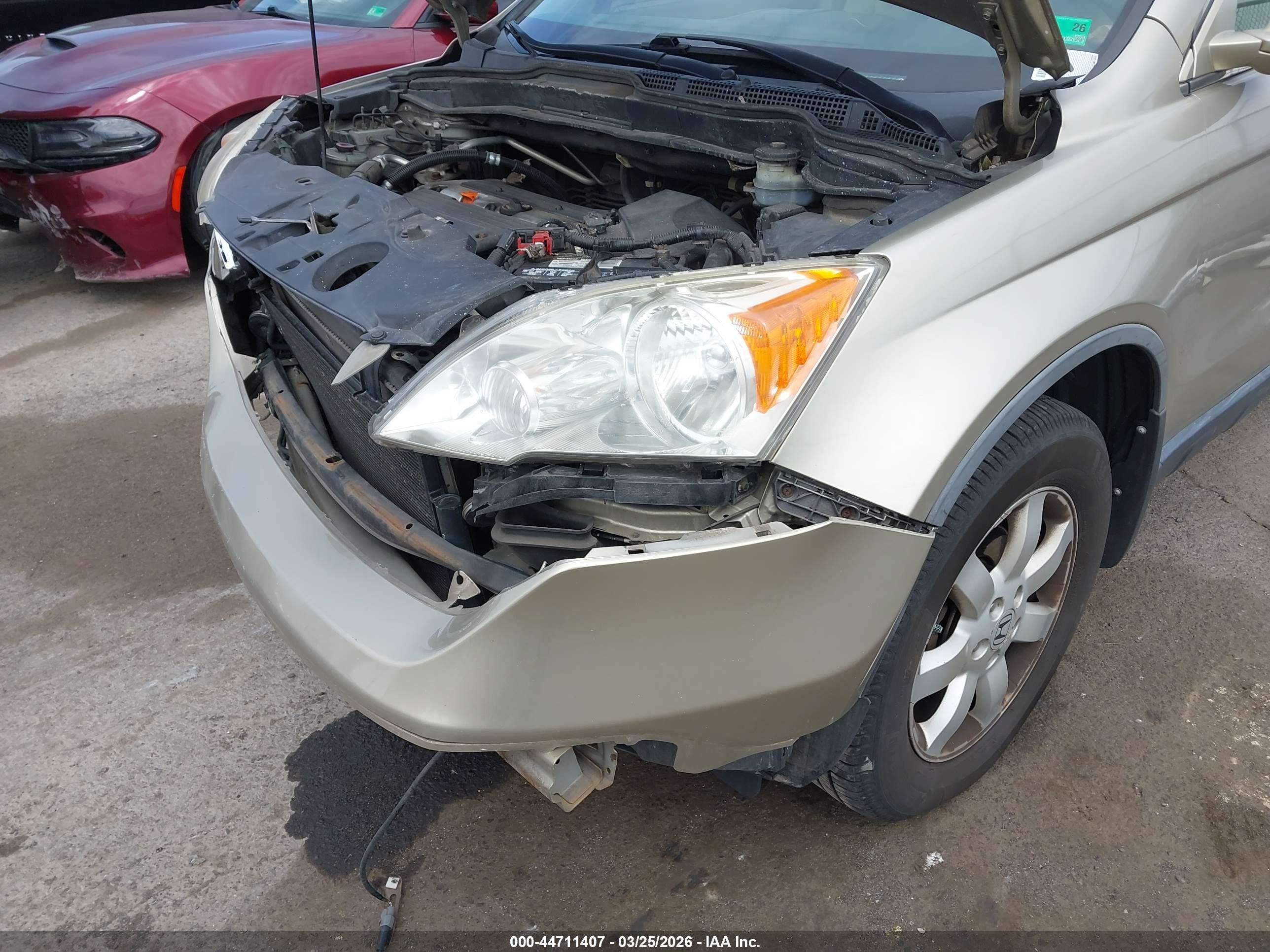HONDA CR-V image 6