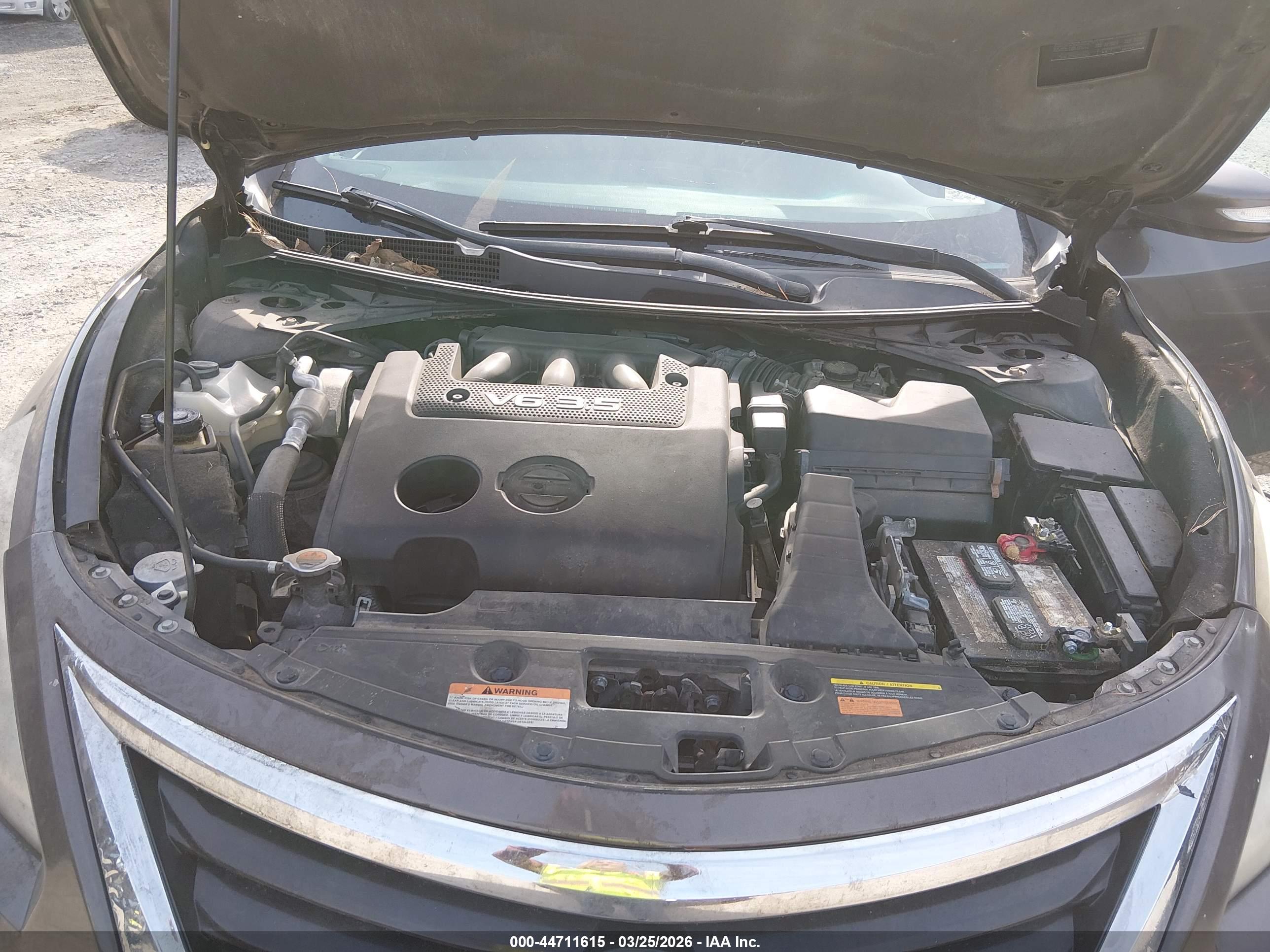 NISSAN ALTIMA image 10