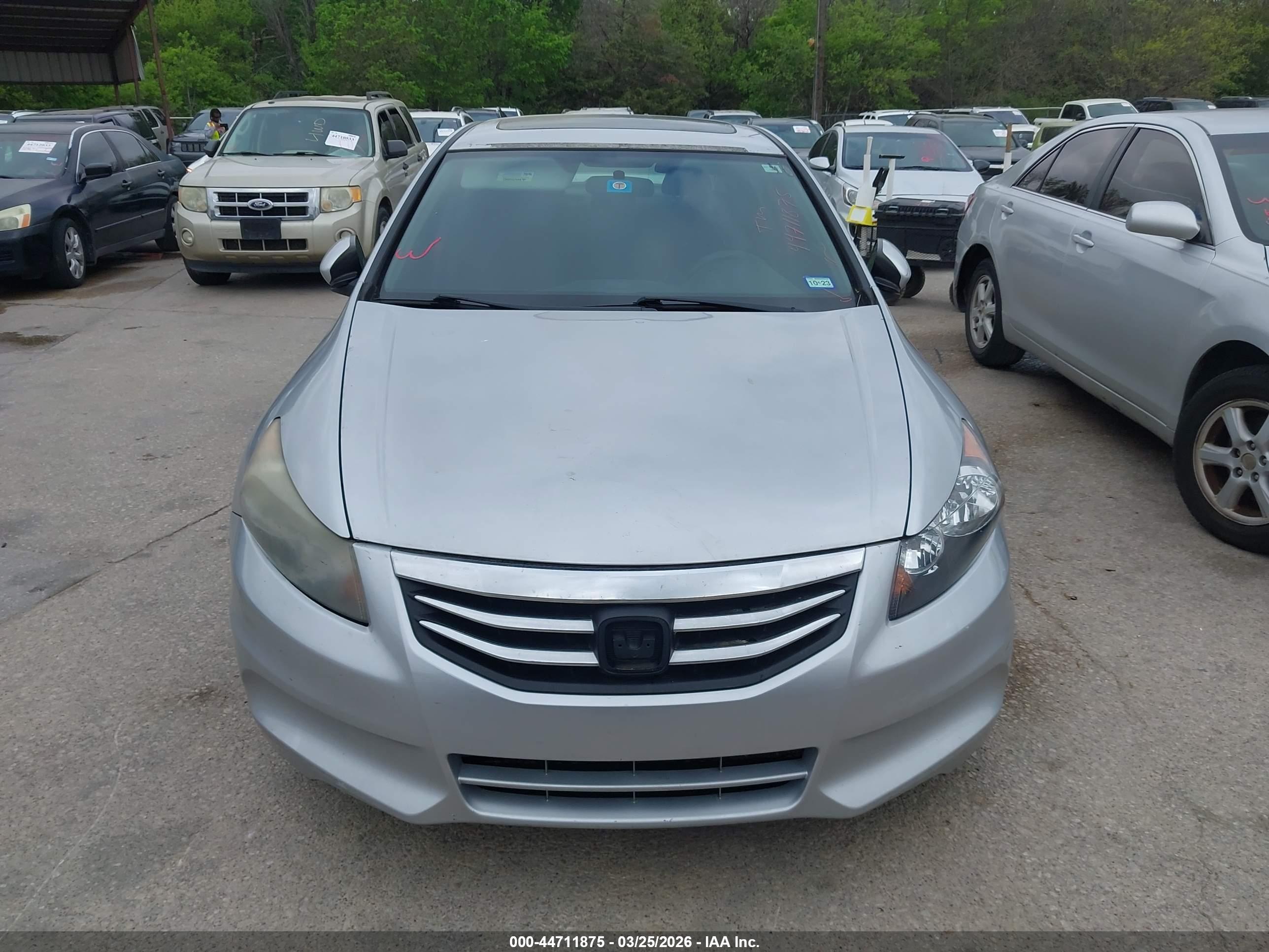HONDA ACCORD image 6