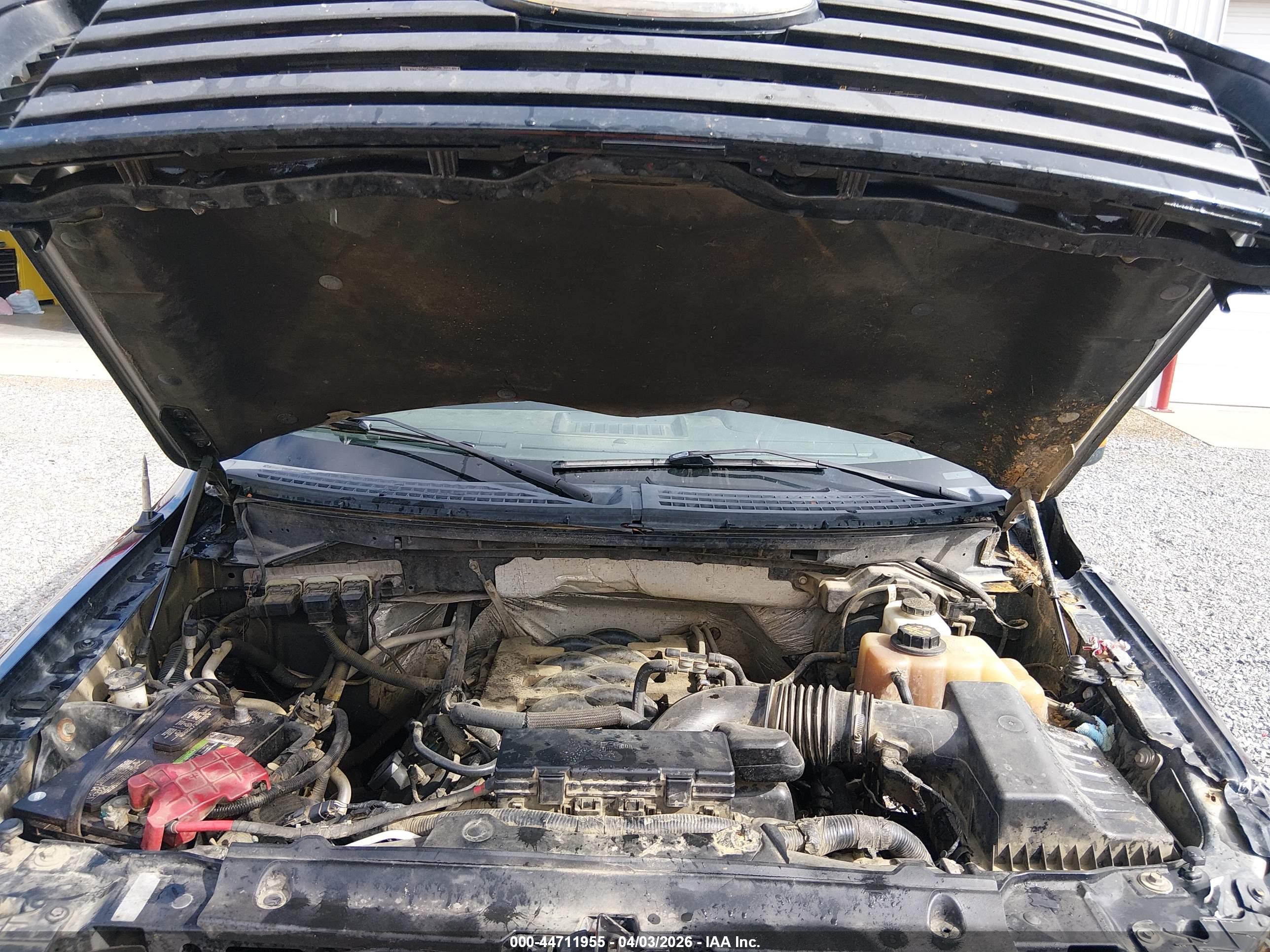 FORD F-150 image 10