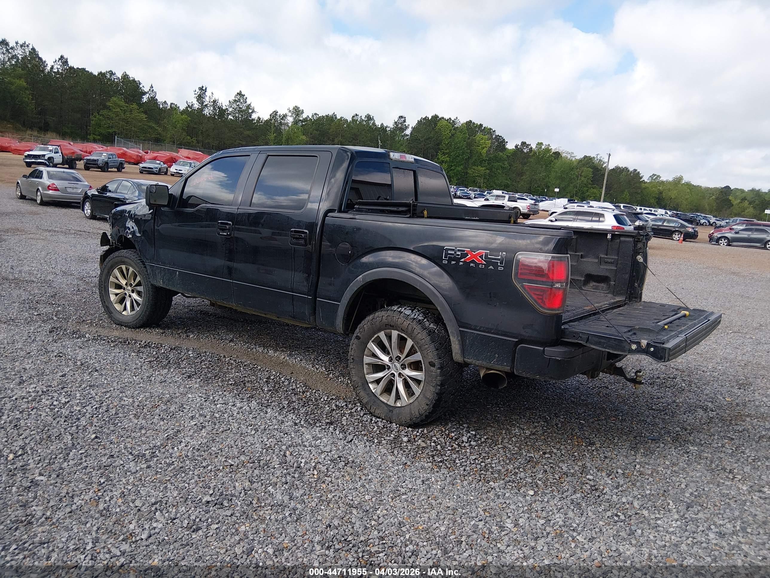 FORD F-150 image 3