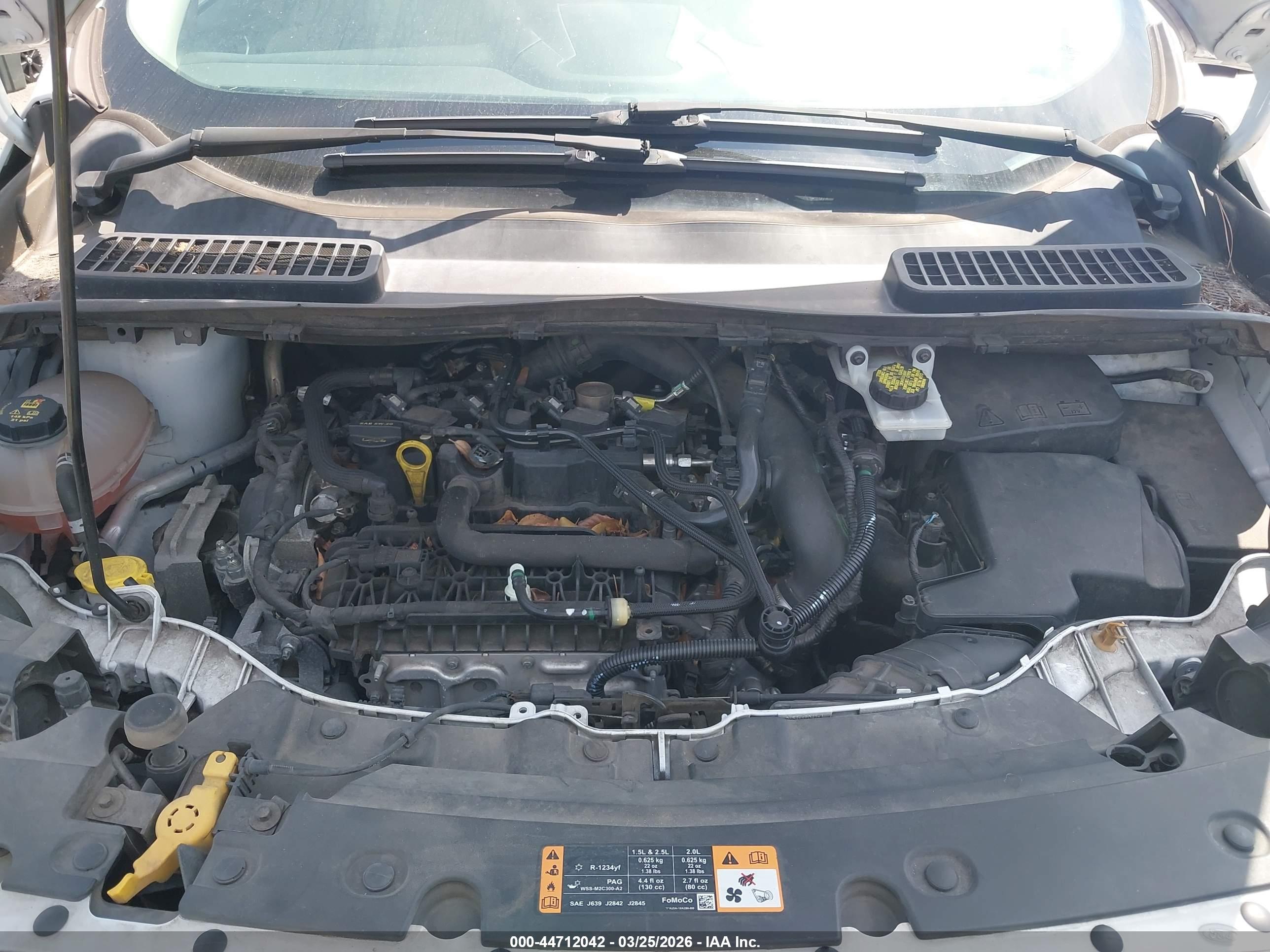 FORD ESCAPE image 10