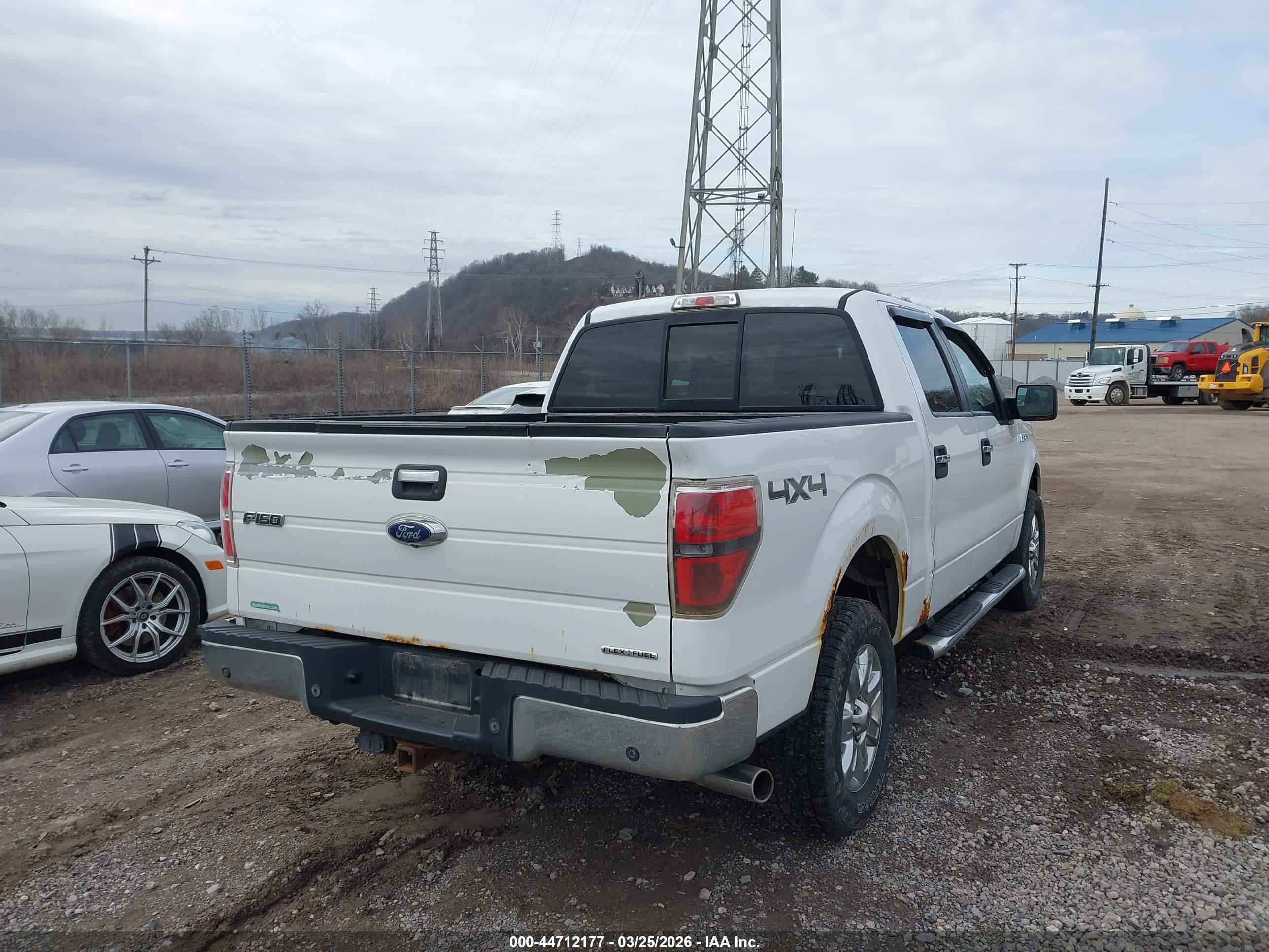 FORD F-150 image 4
