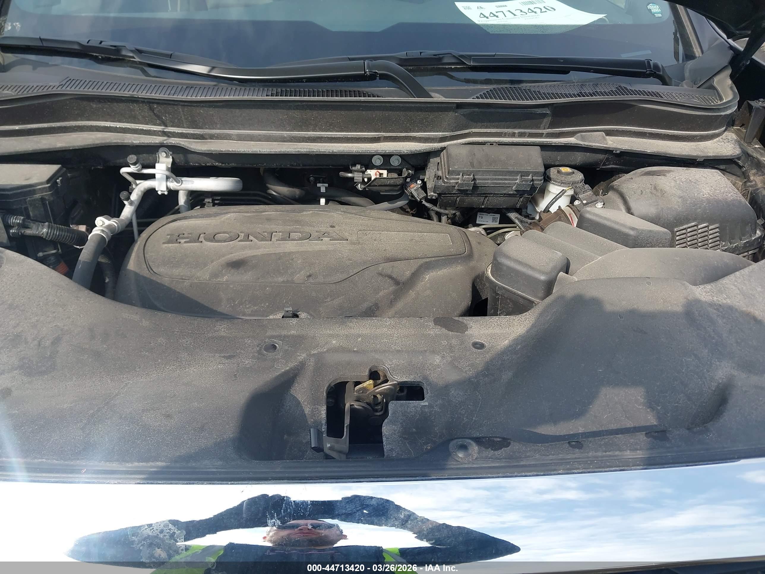 HONDA PASSPORT image 10