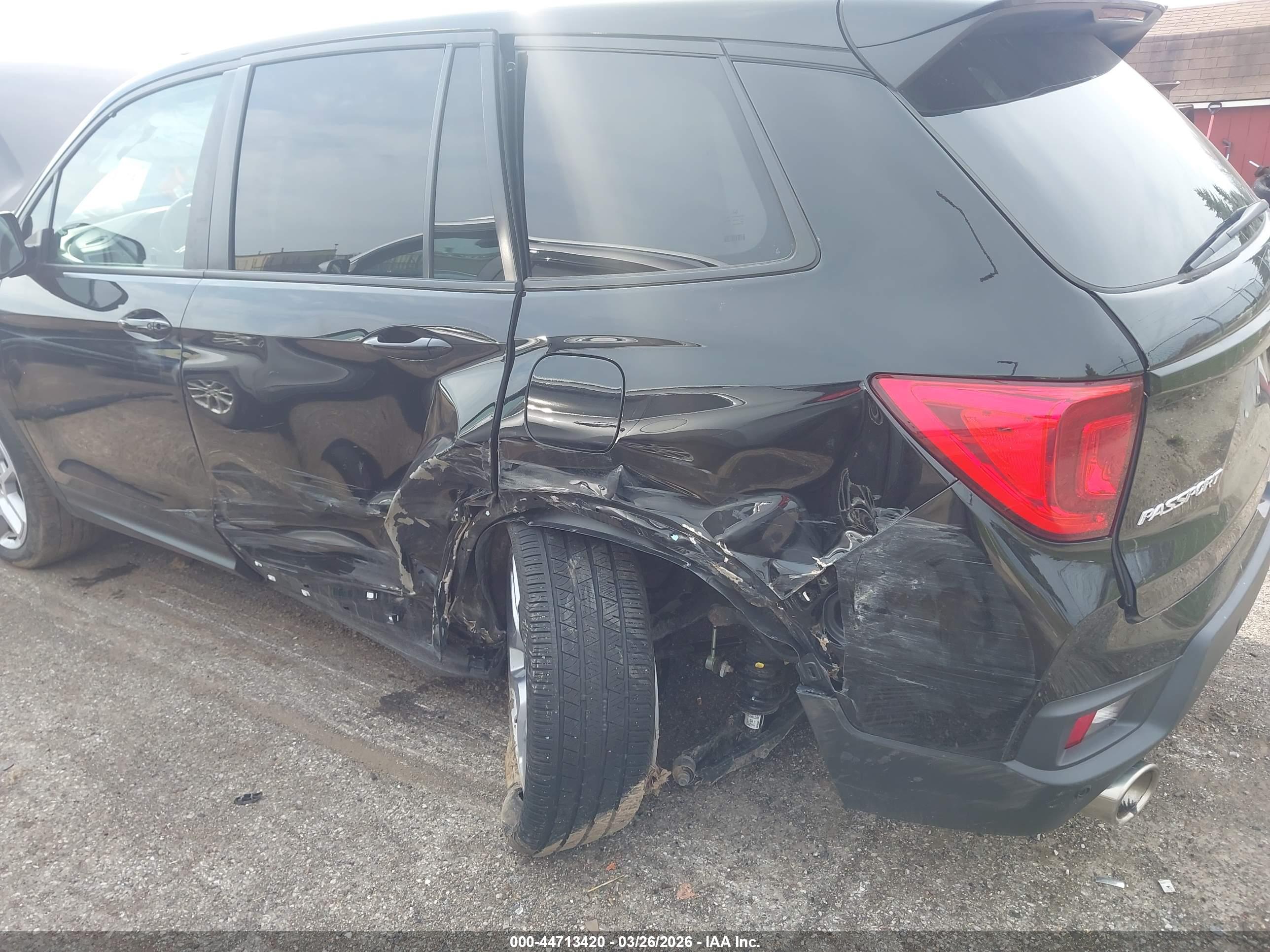 HONDA PASSPORT image 6