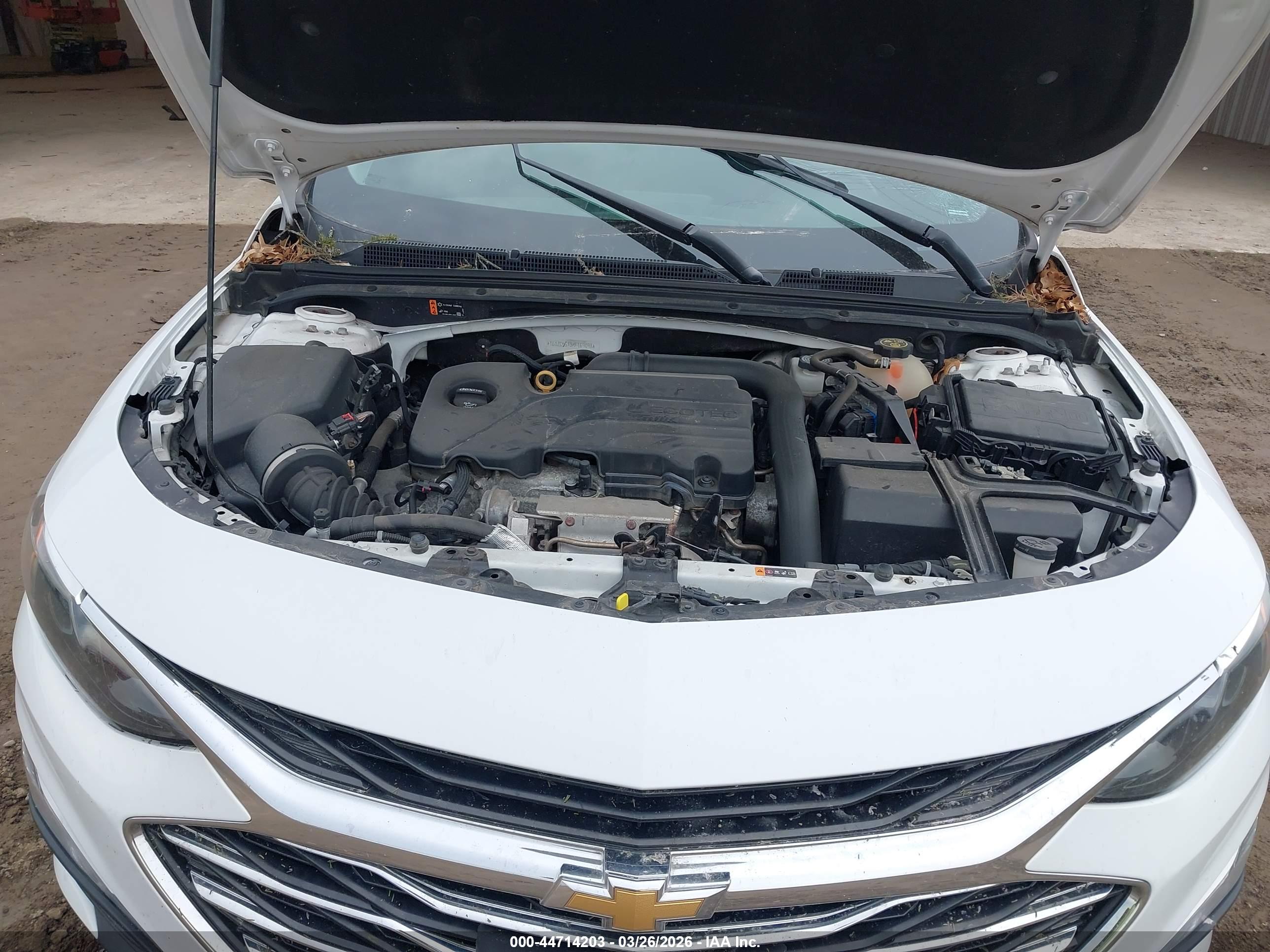 CHEVROLET MALIBU image 10