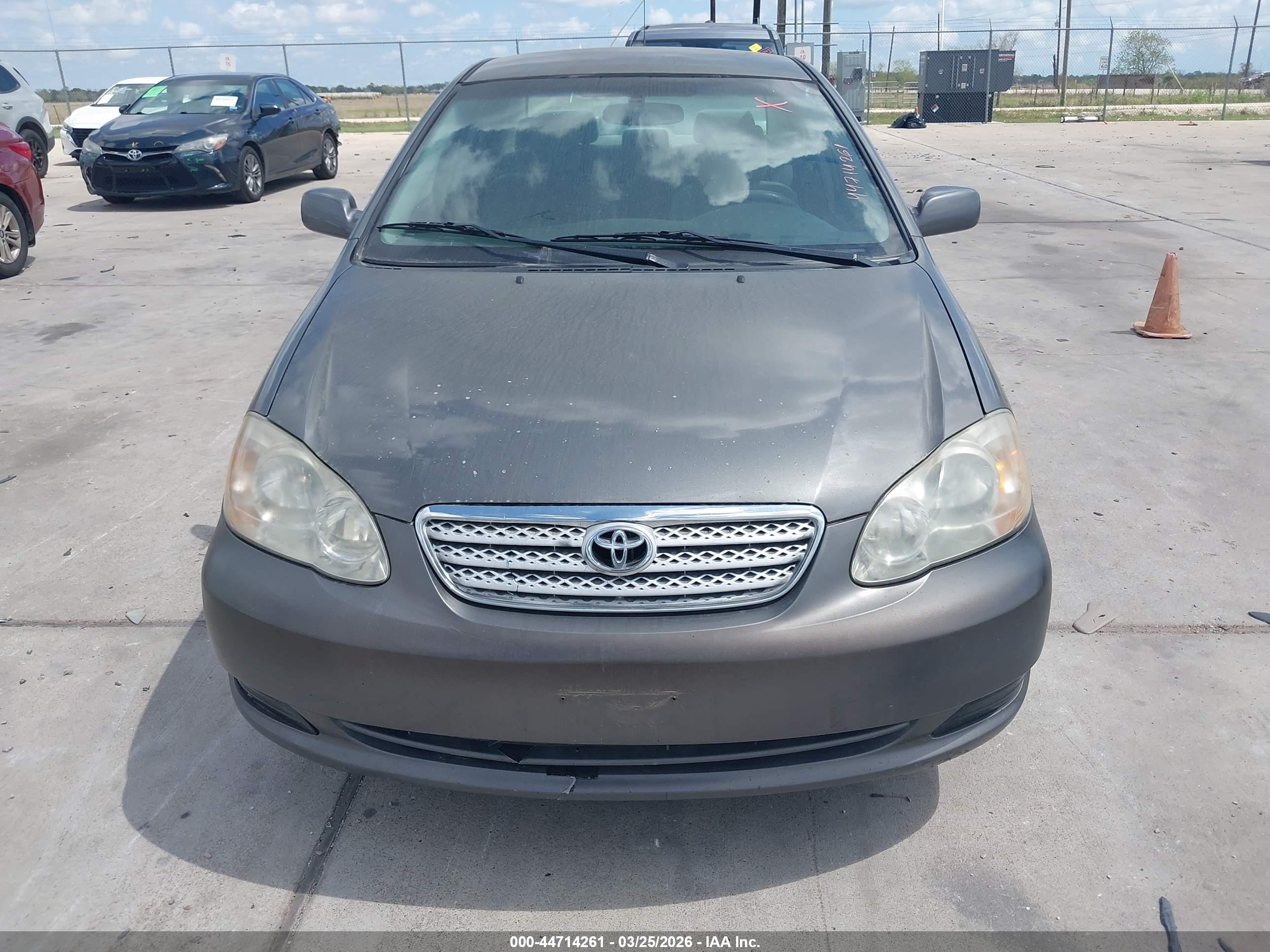 TOYOTA COROLLA image 6