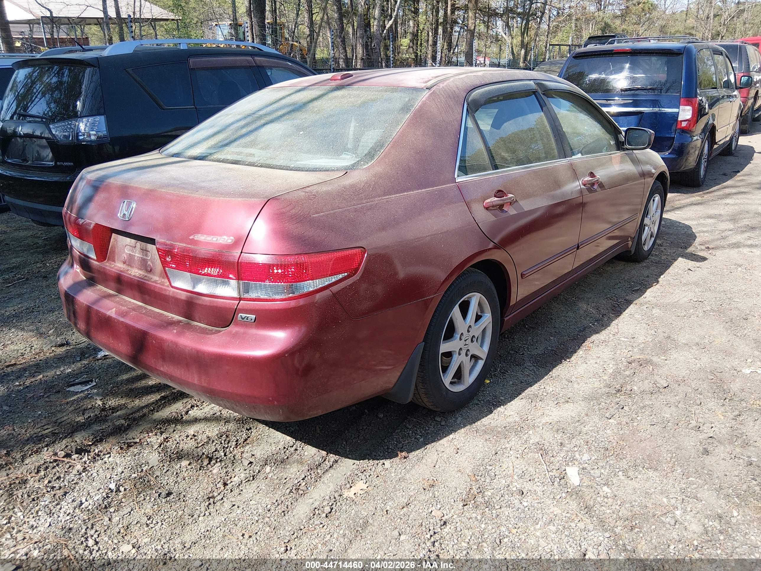 HONDA ACCORD image 4