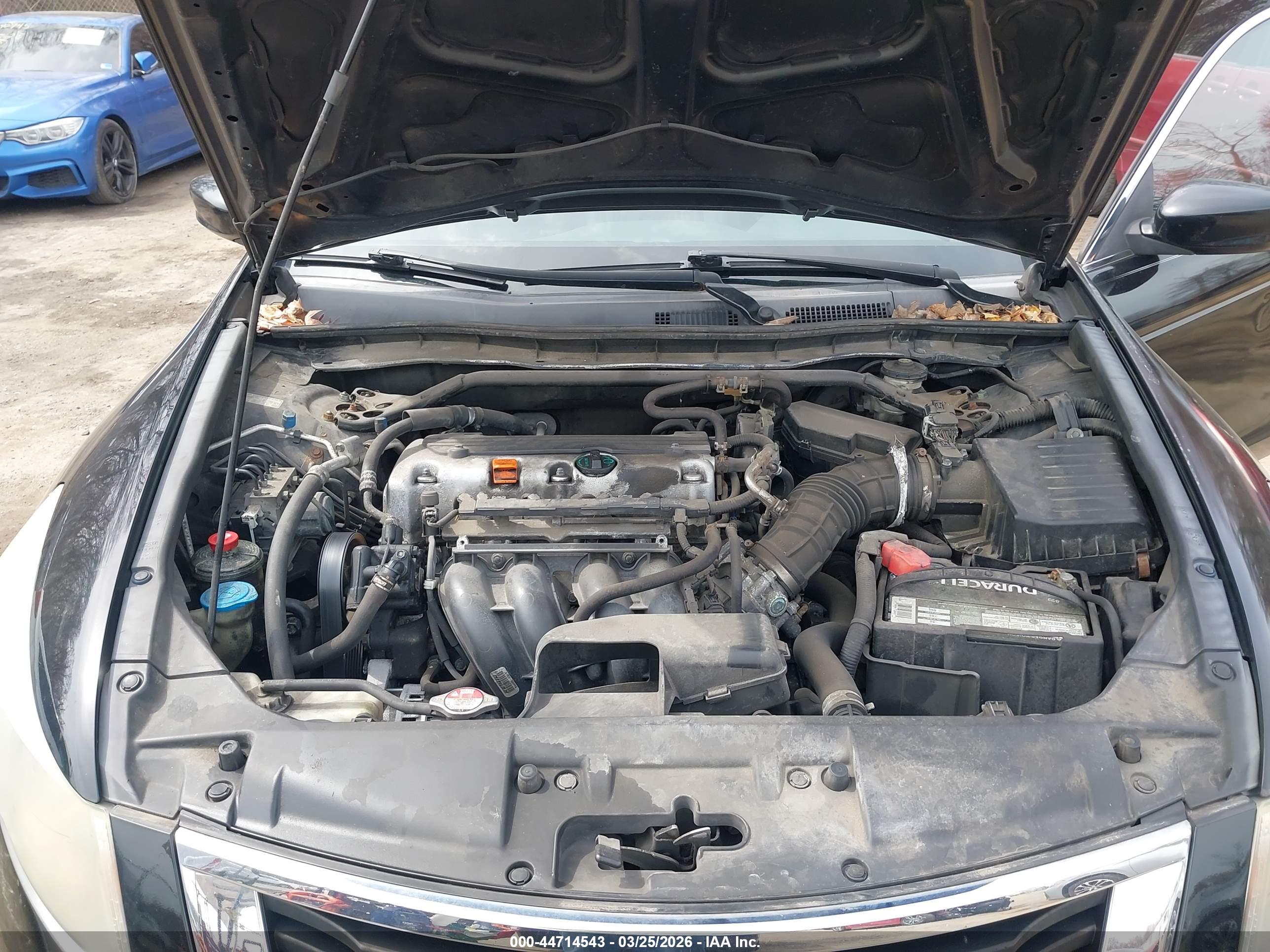 HONDA ACCORD image 10