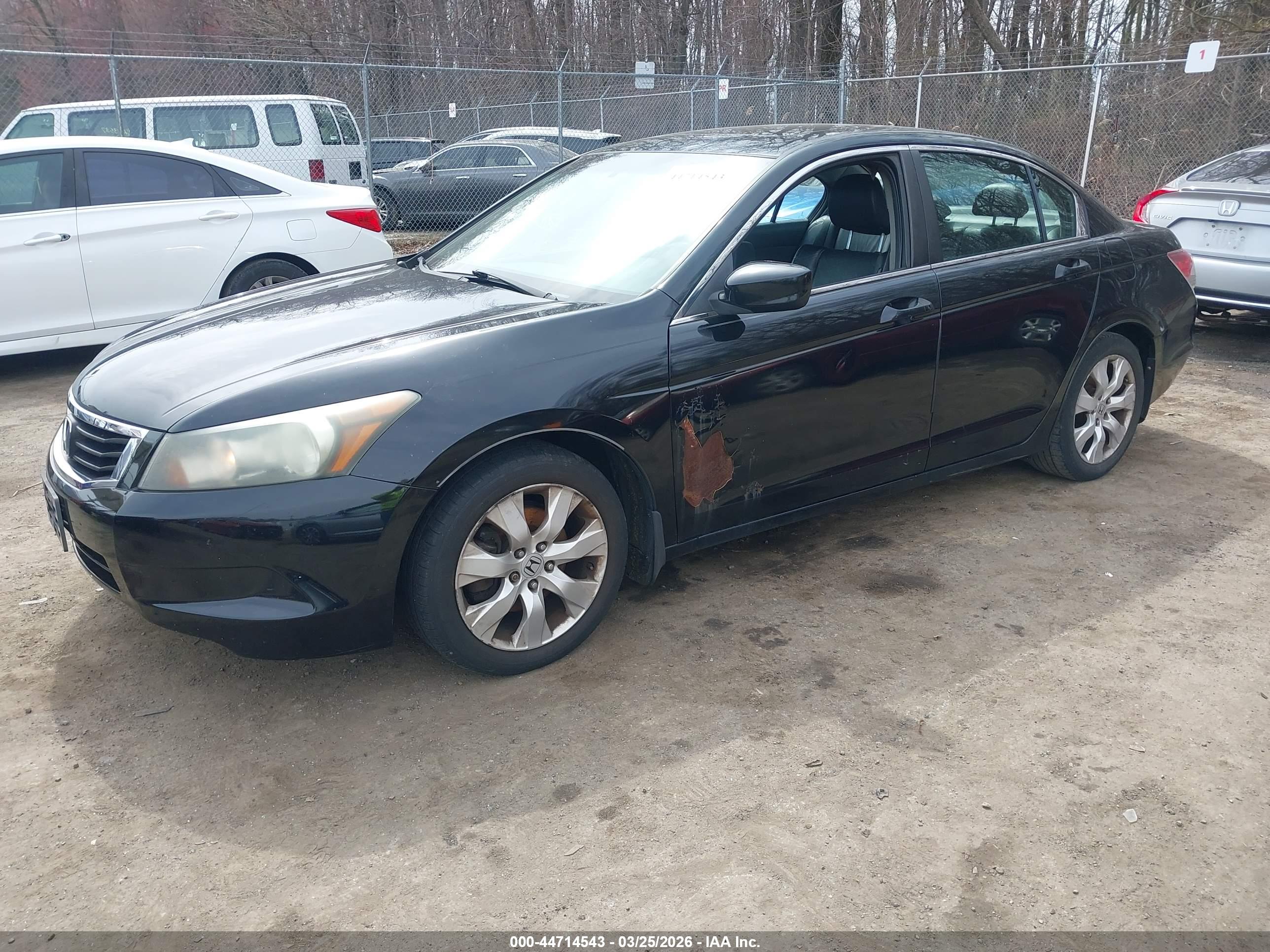 HONDA ACCORD image 2