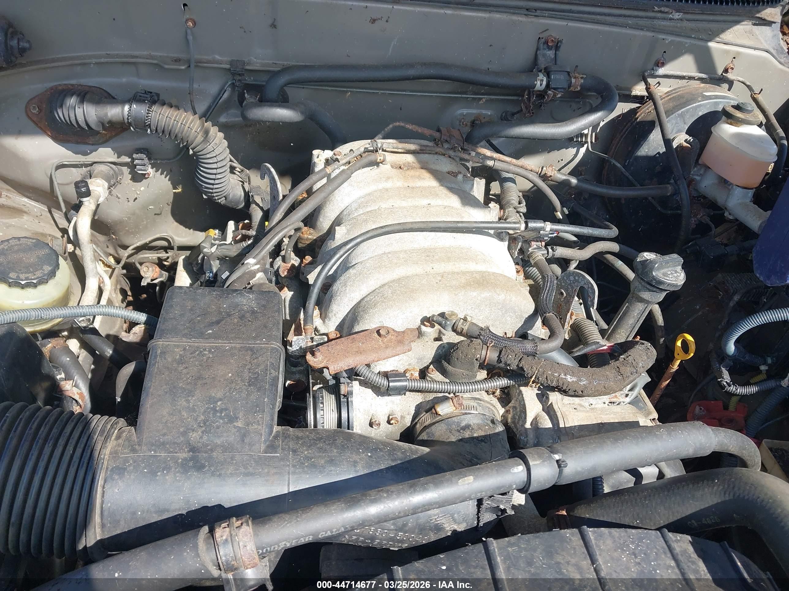 TOYOTA TUNDRA image 10