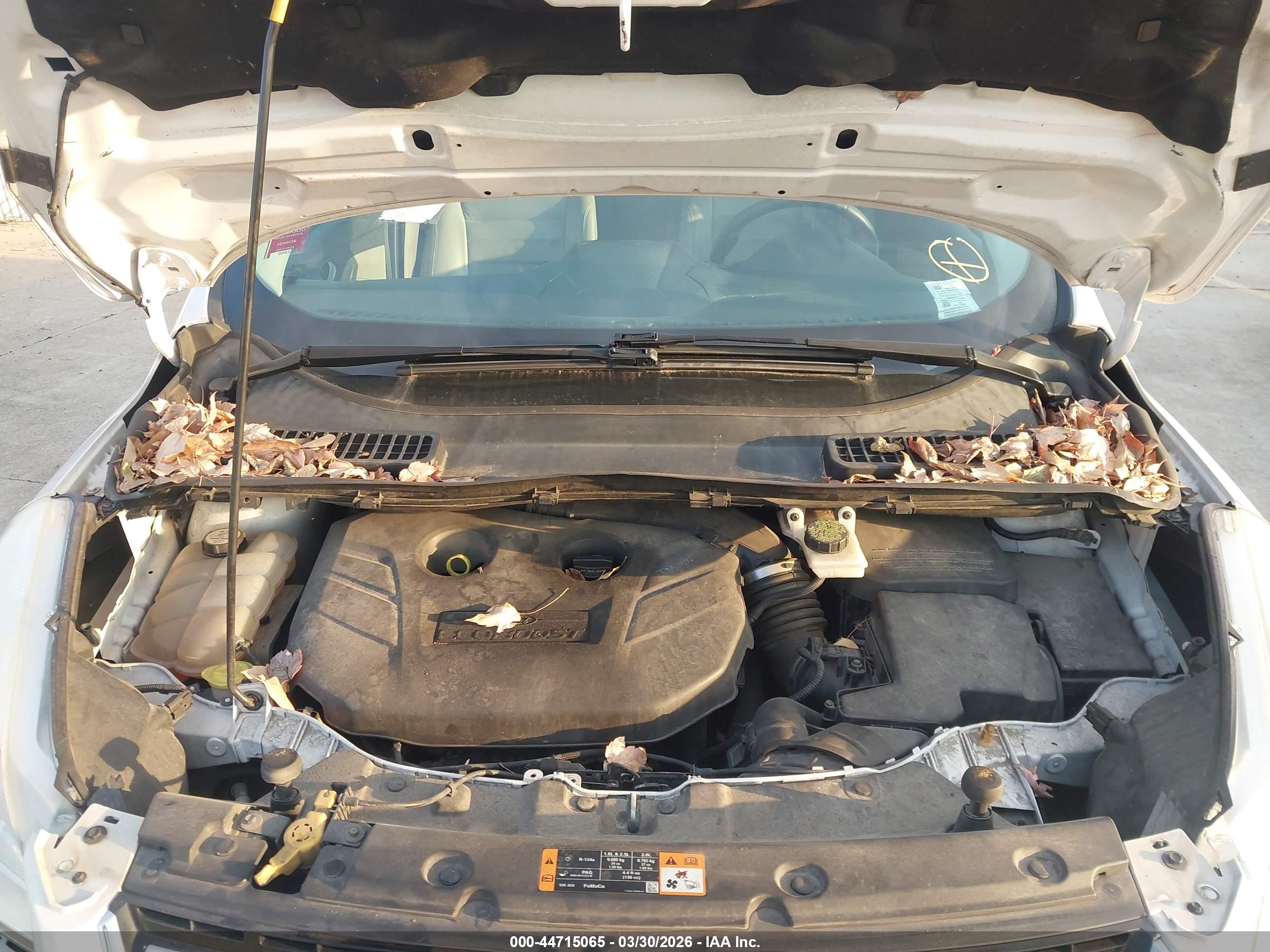 FORD ESCAPE image 10