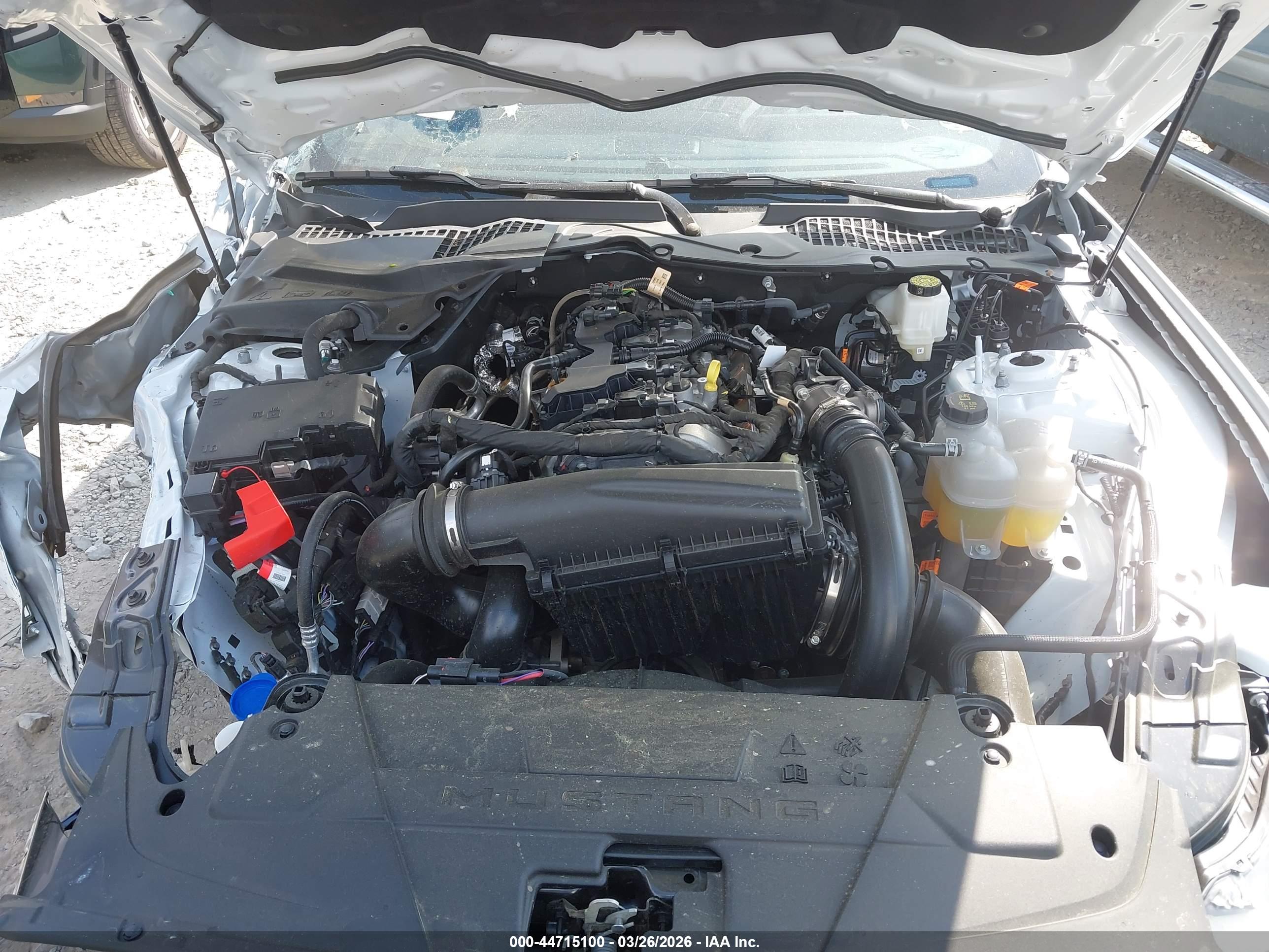 FORD MUSTANG image 10