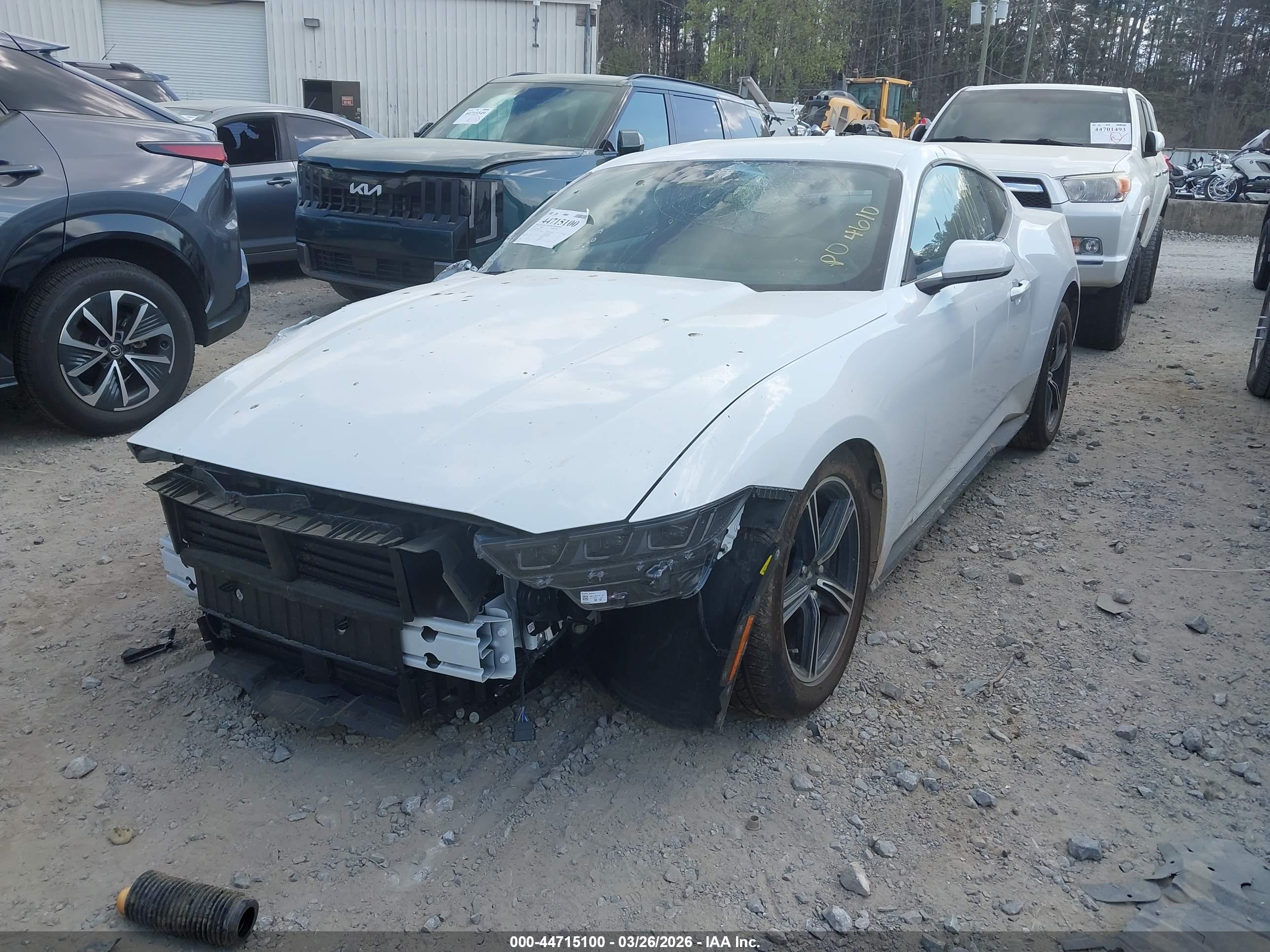 FORD MUSTANG image 2