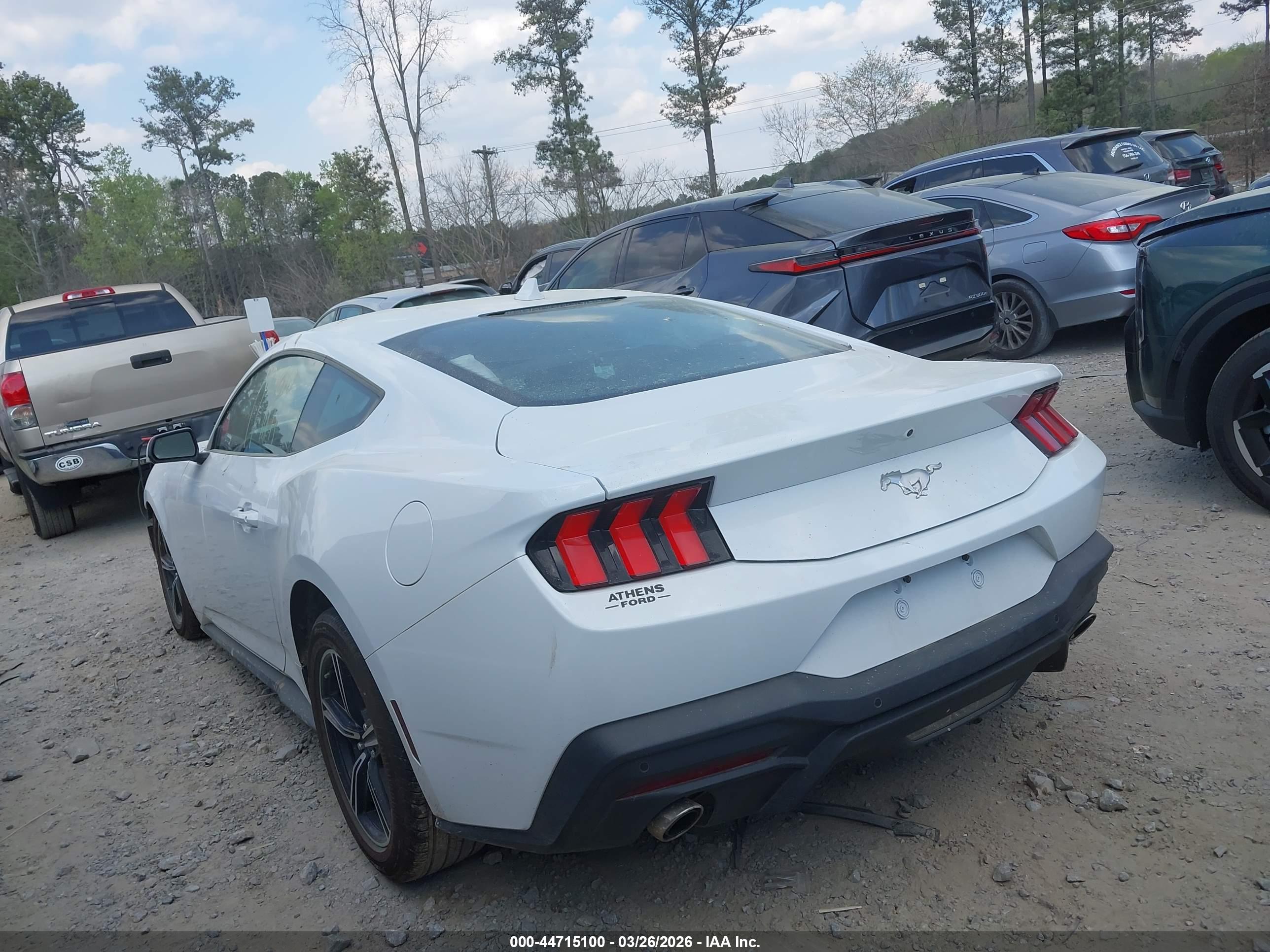 FORD MUSTANG image 3