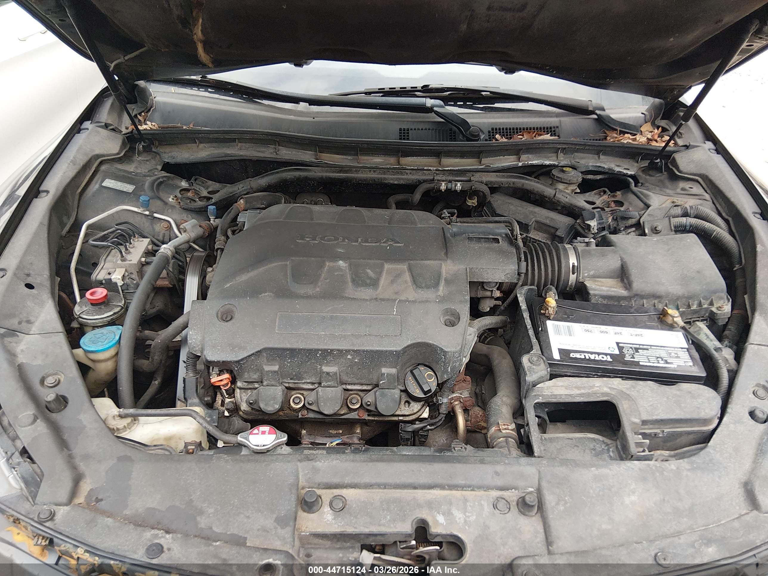 HONDA ACCORD image 10
