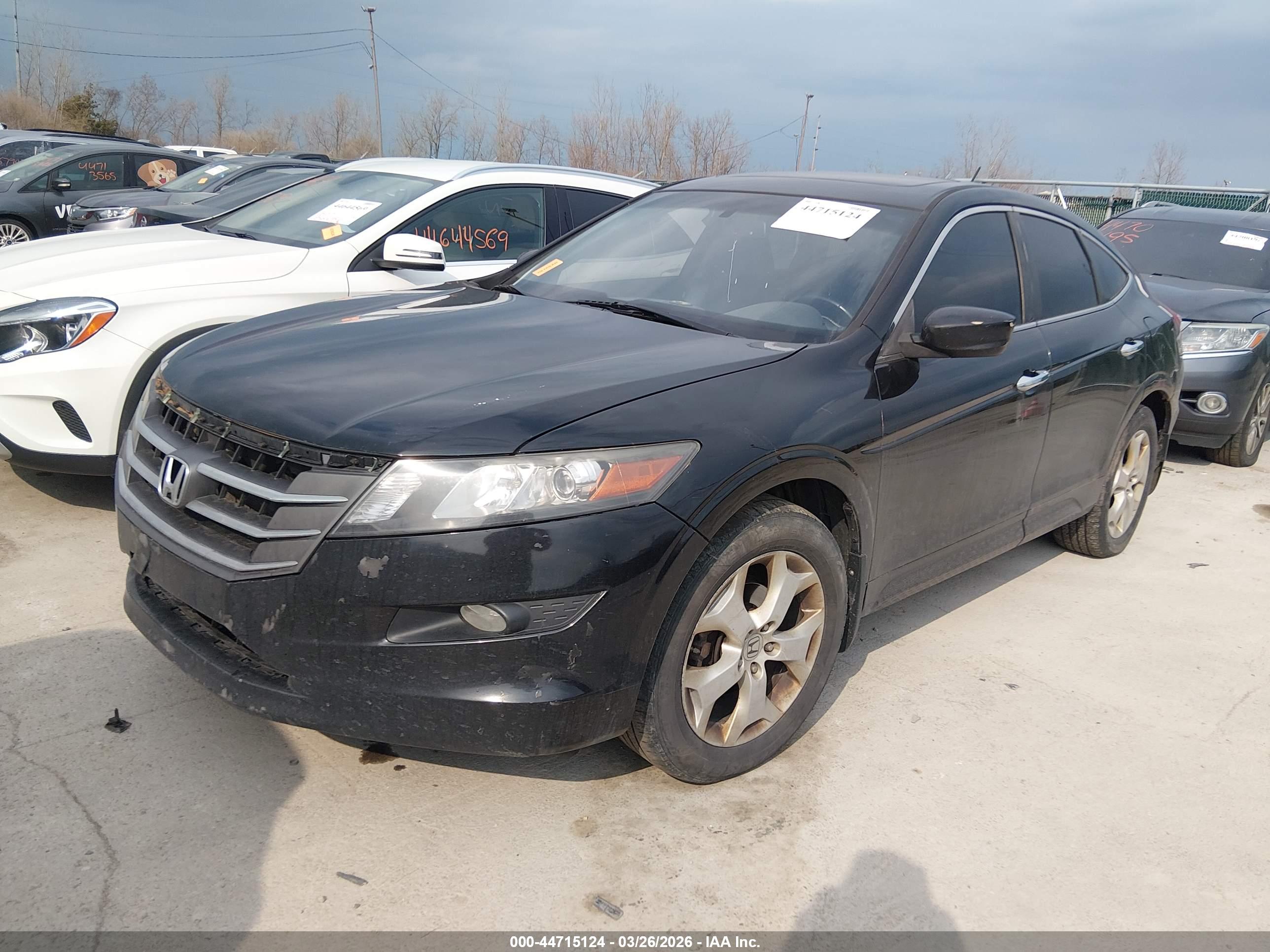 HONDA ACCORD image 2