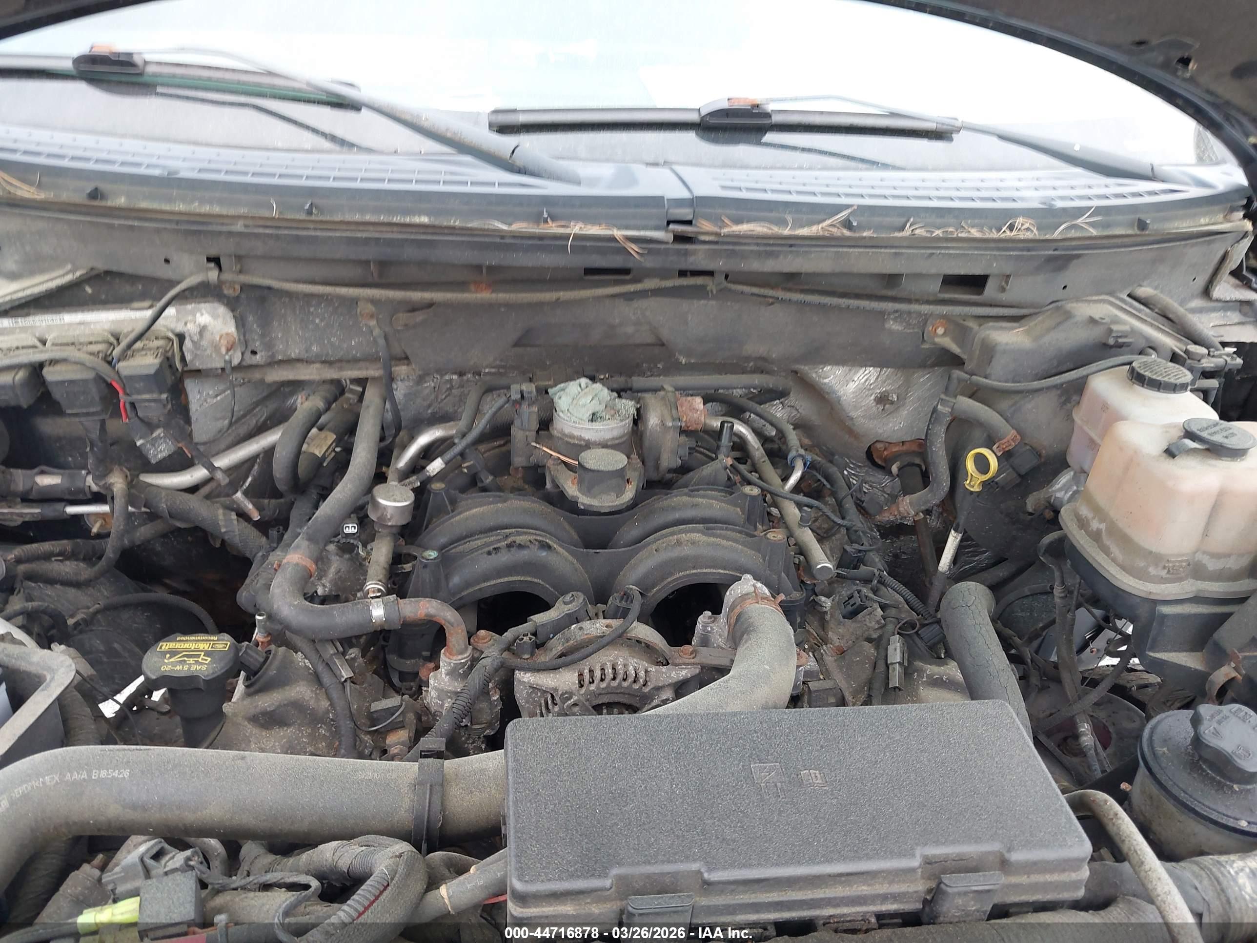 FORD F-150 image 10