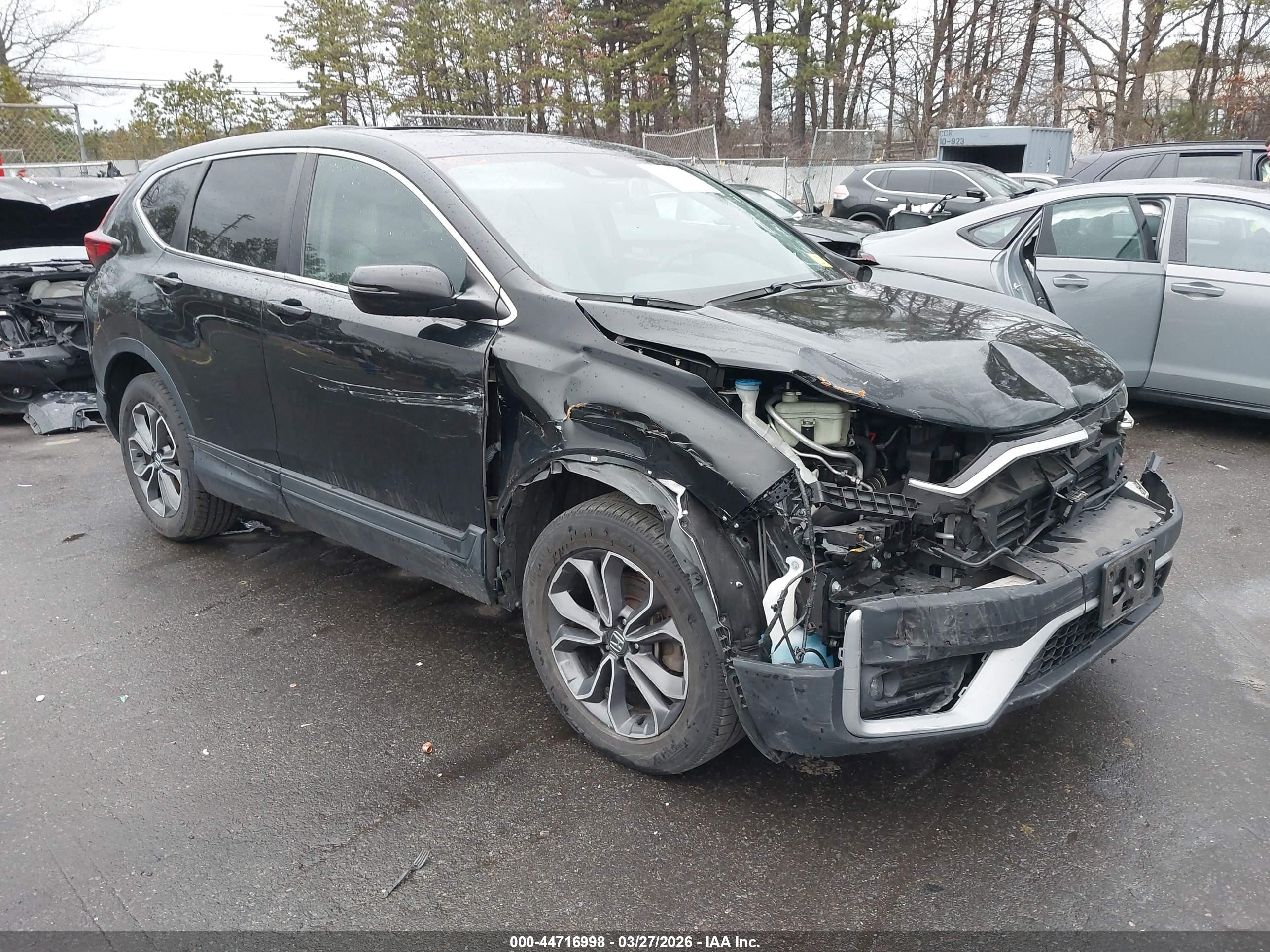 HONDA CR-V image 6