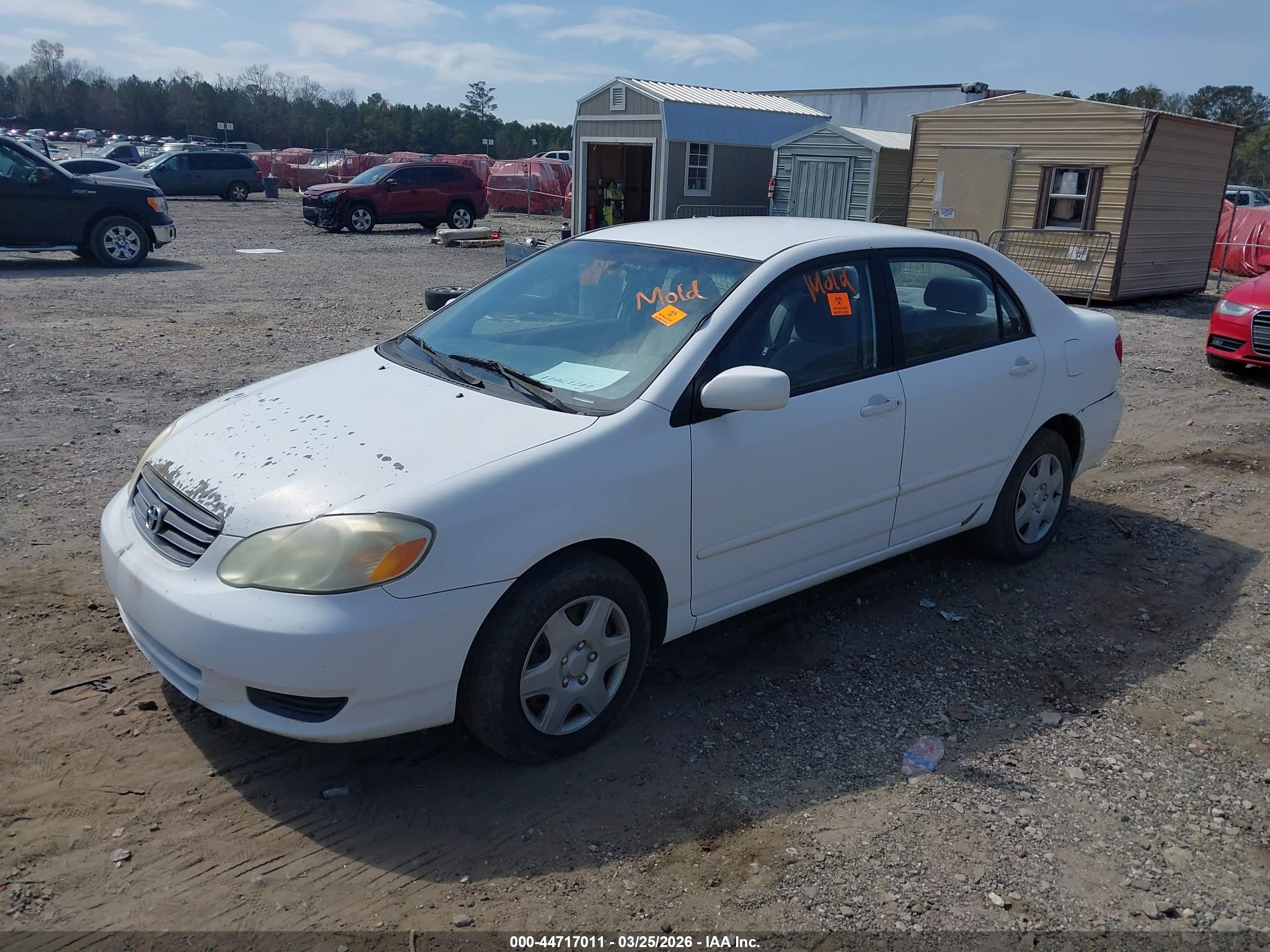 TOYOTA COROLLA image 2