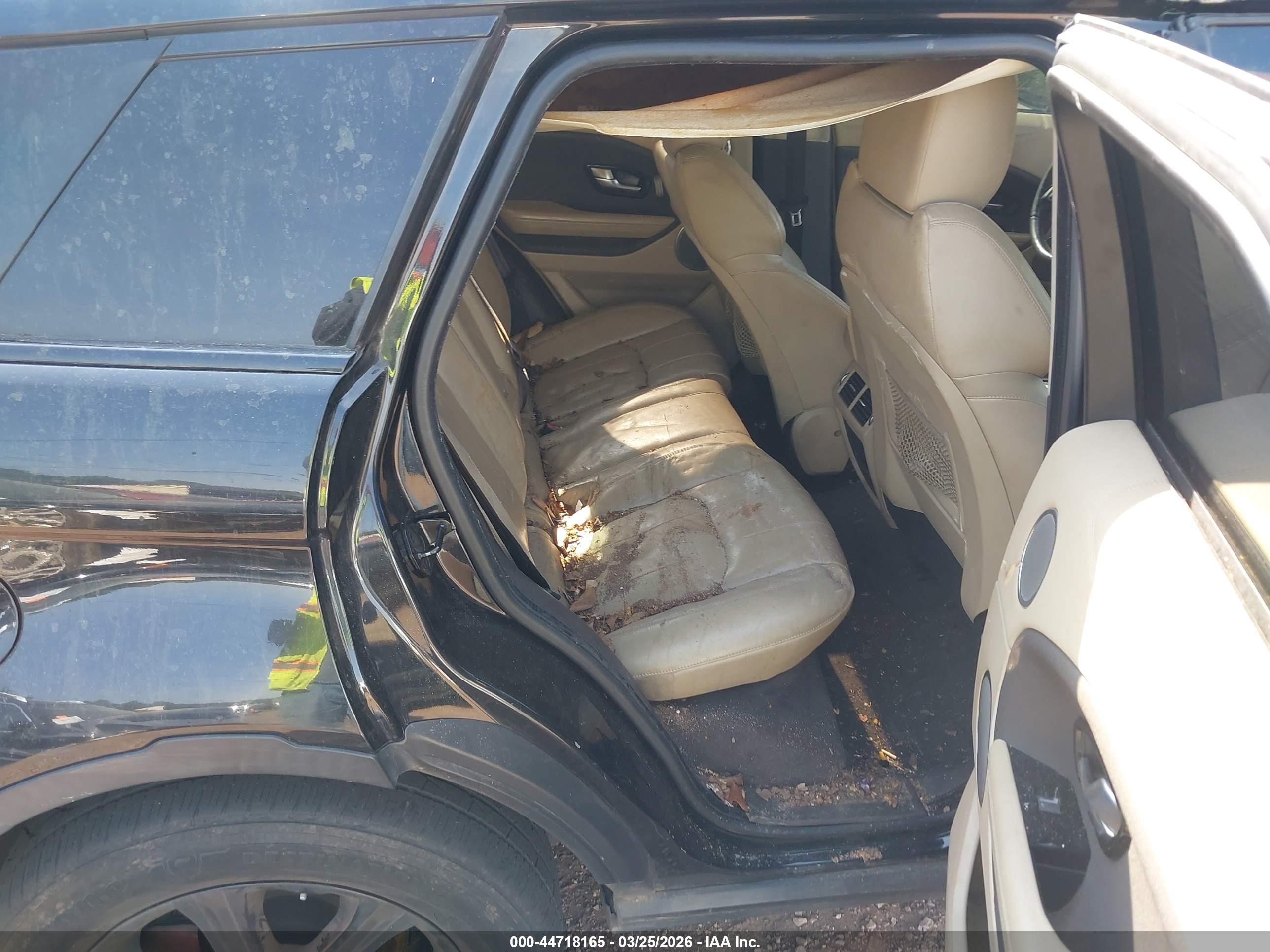 LAND ROVER image 8
