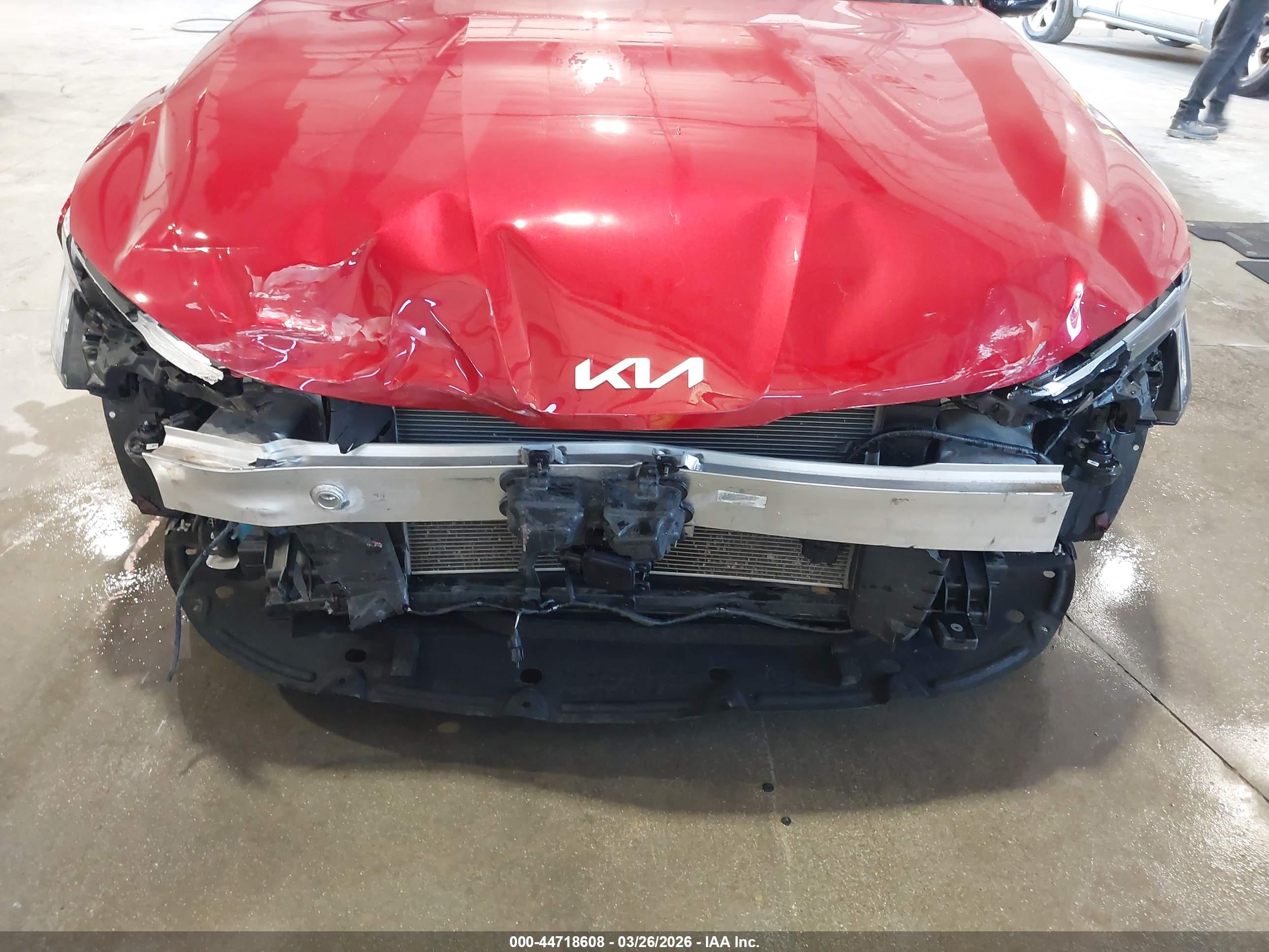 KIA K5 image 6