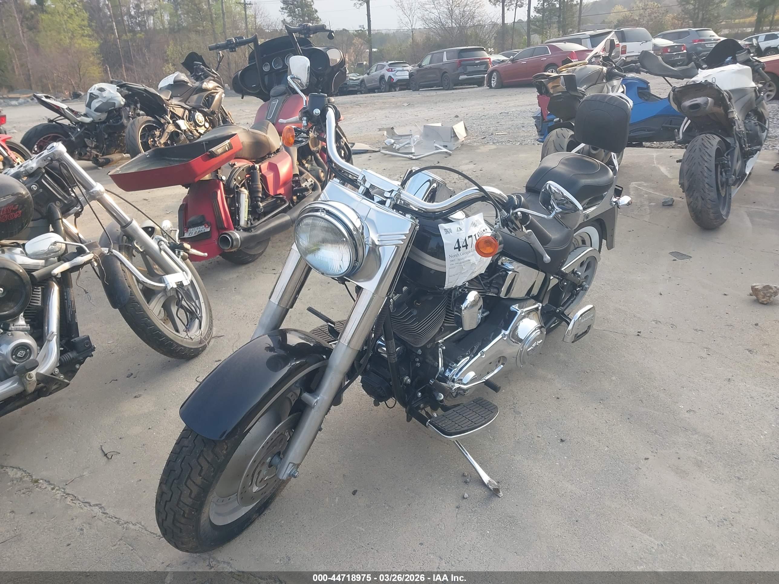 HARLEY-DAVIDSON FLSTFI image 2