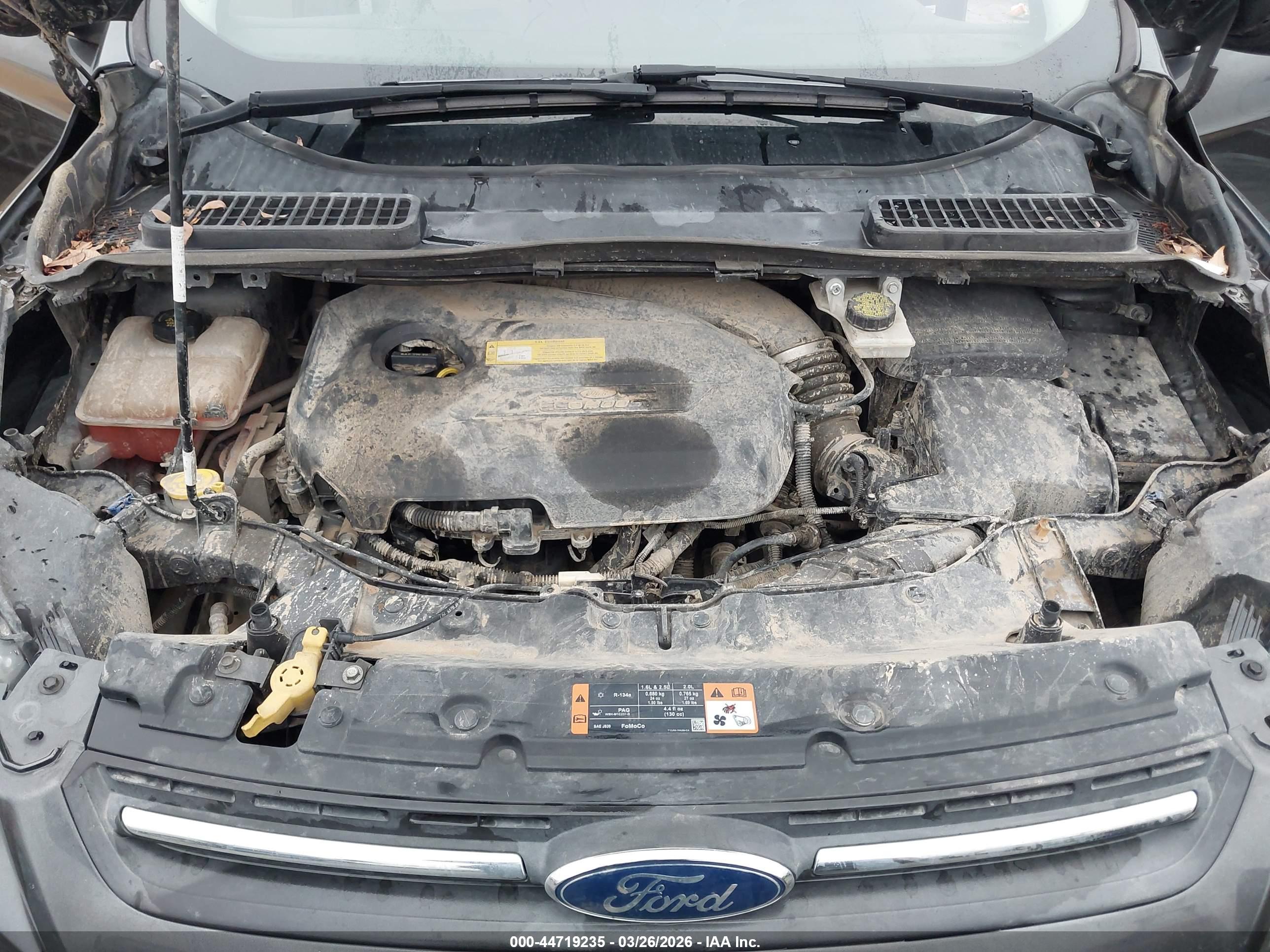FORD ESCAPE image 10