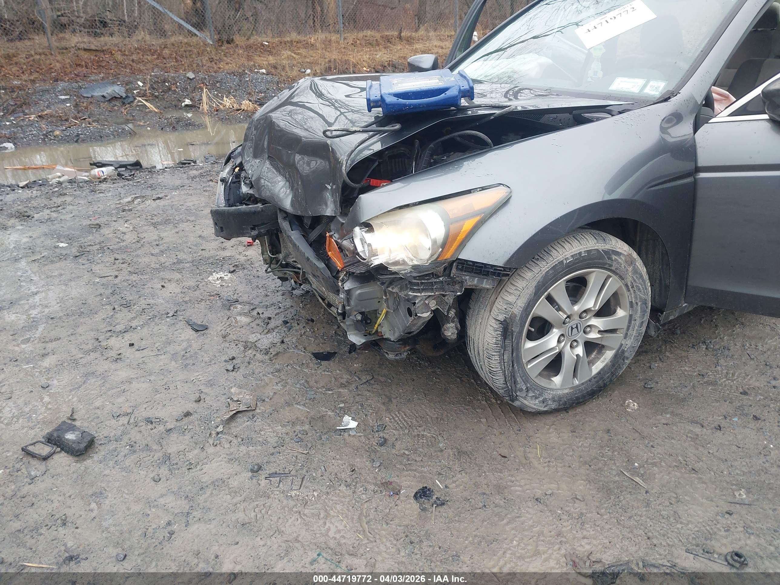 HONDA ACCORD image 6