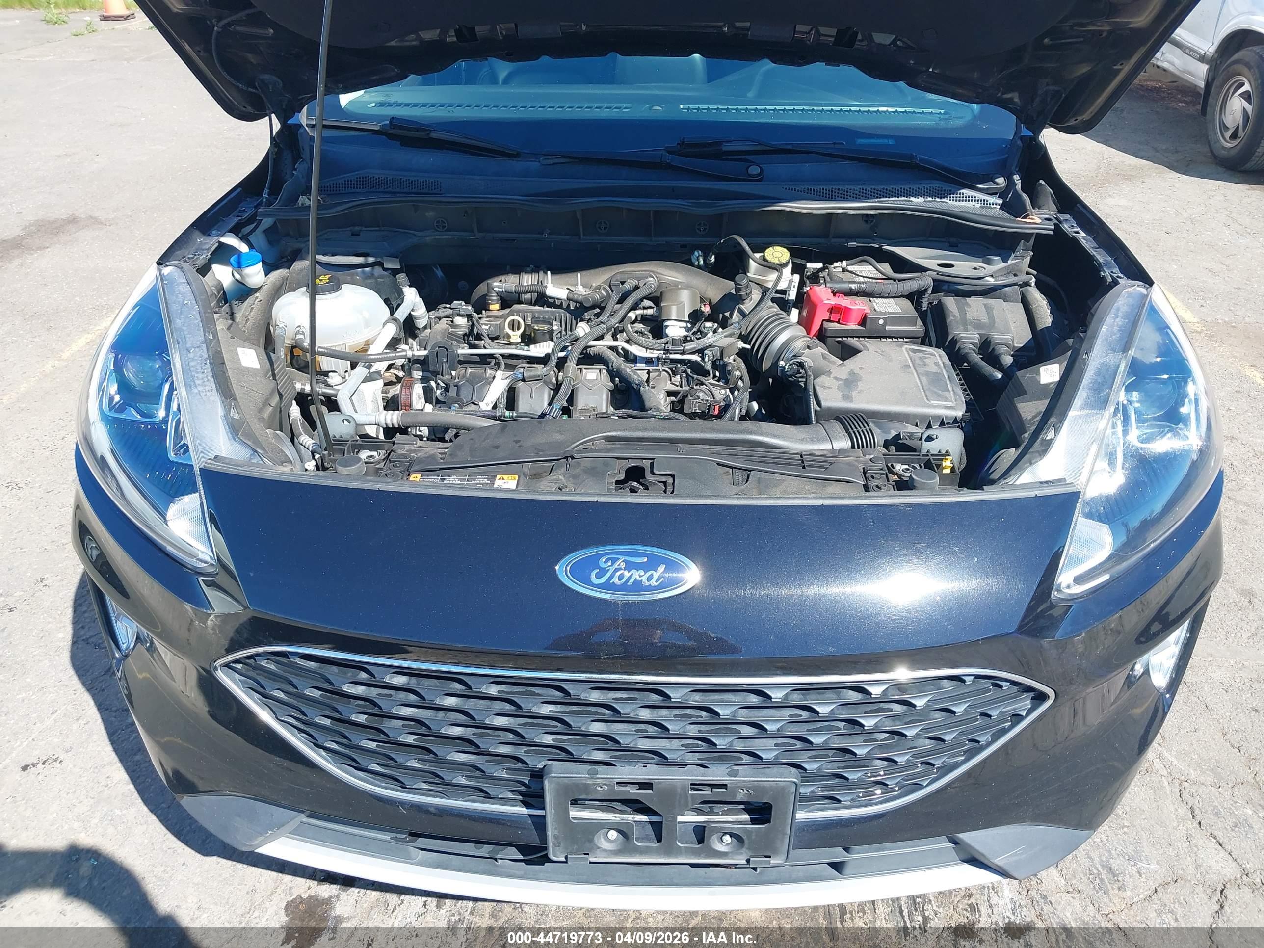 FORD ESCAPE image 10