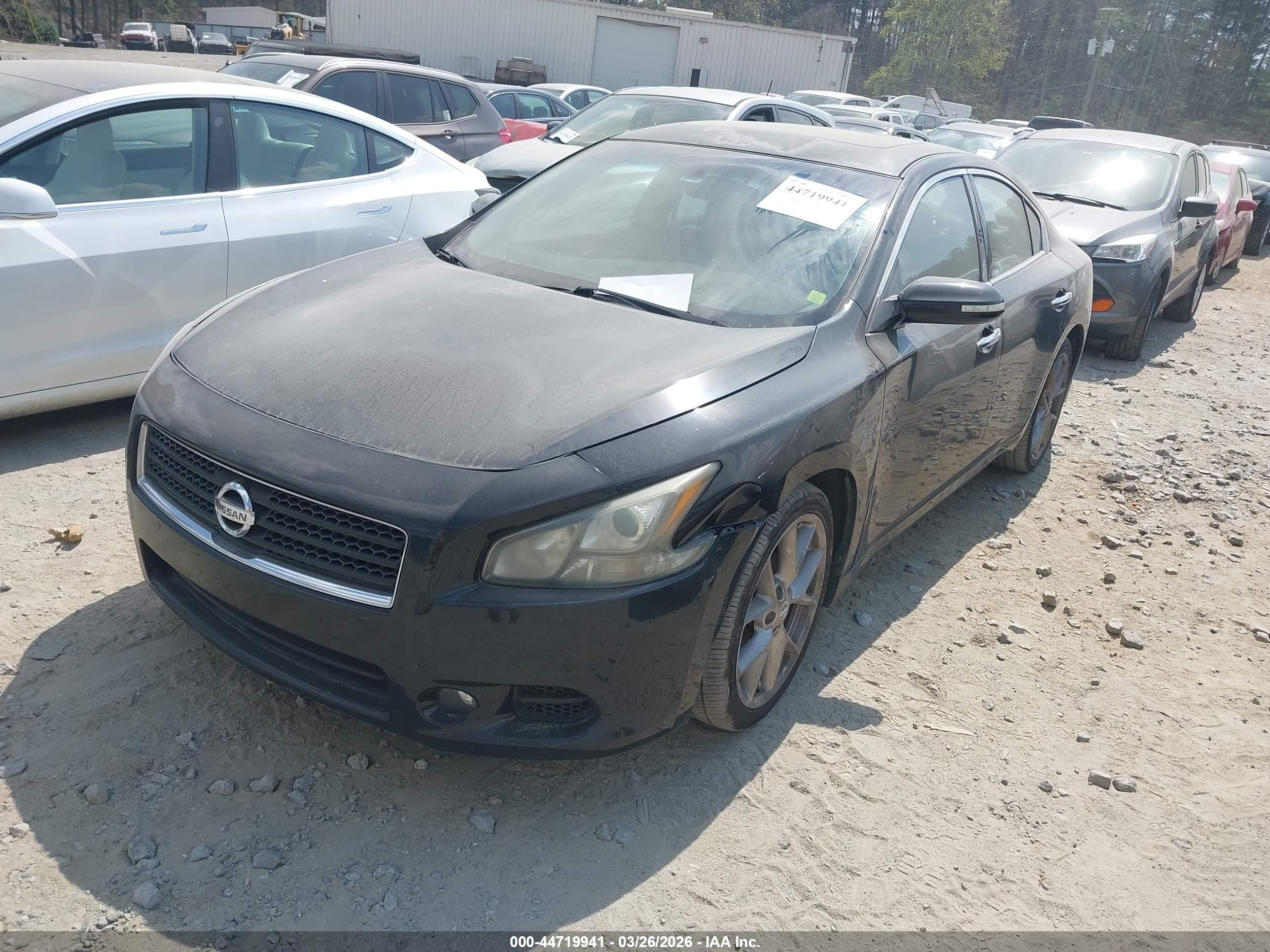 NISSAN MAXIMA image 2