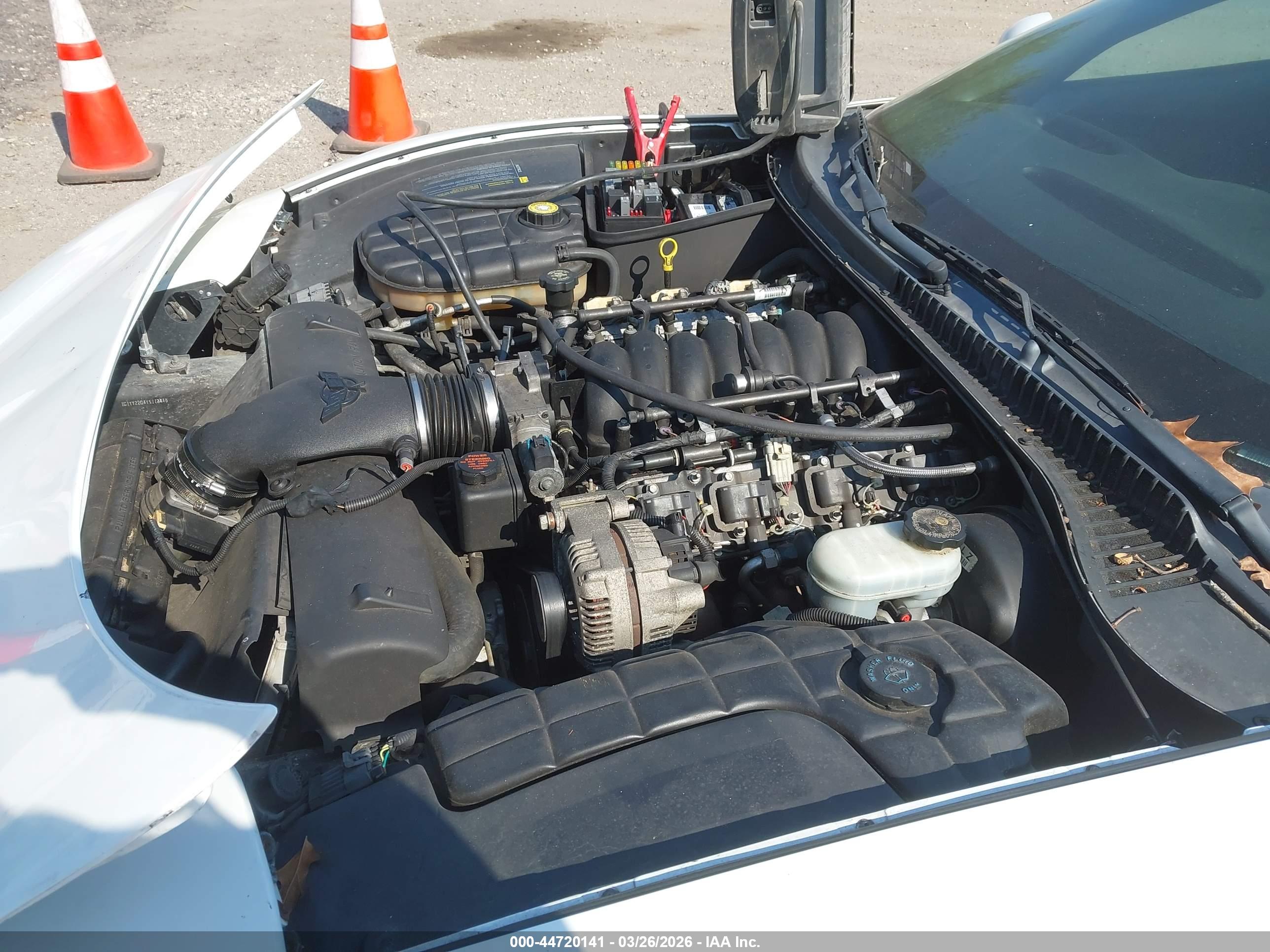 CHEVROLET CORVETTE image 10