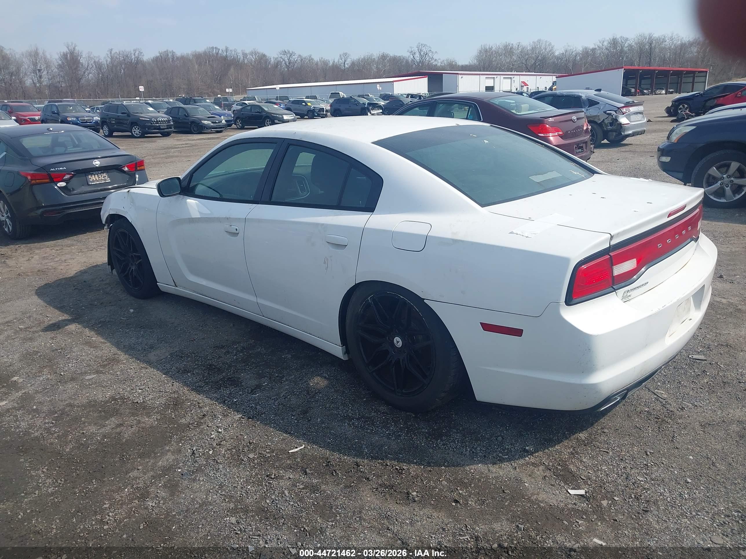 DODGE CHARGER image 3