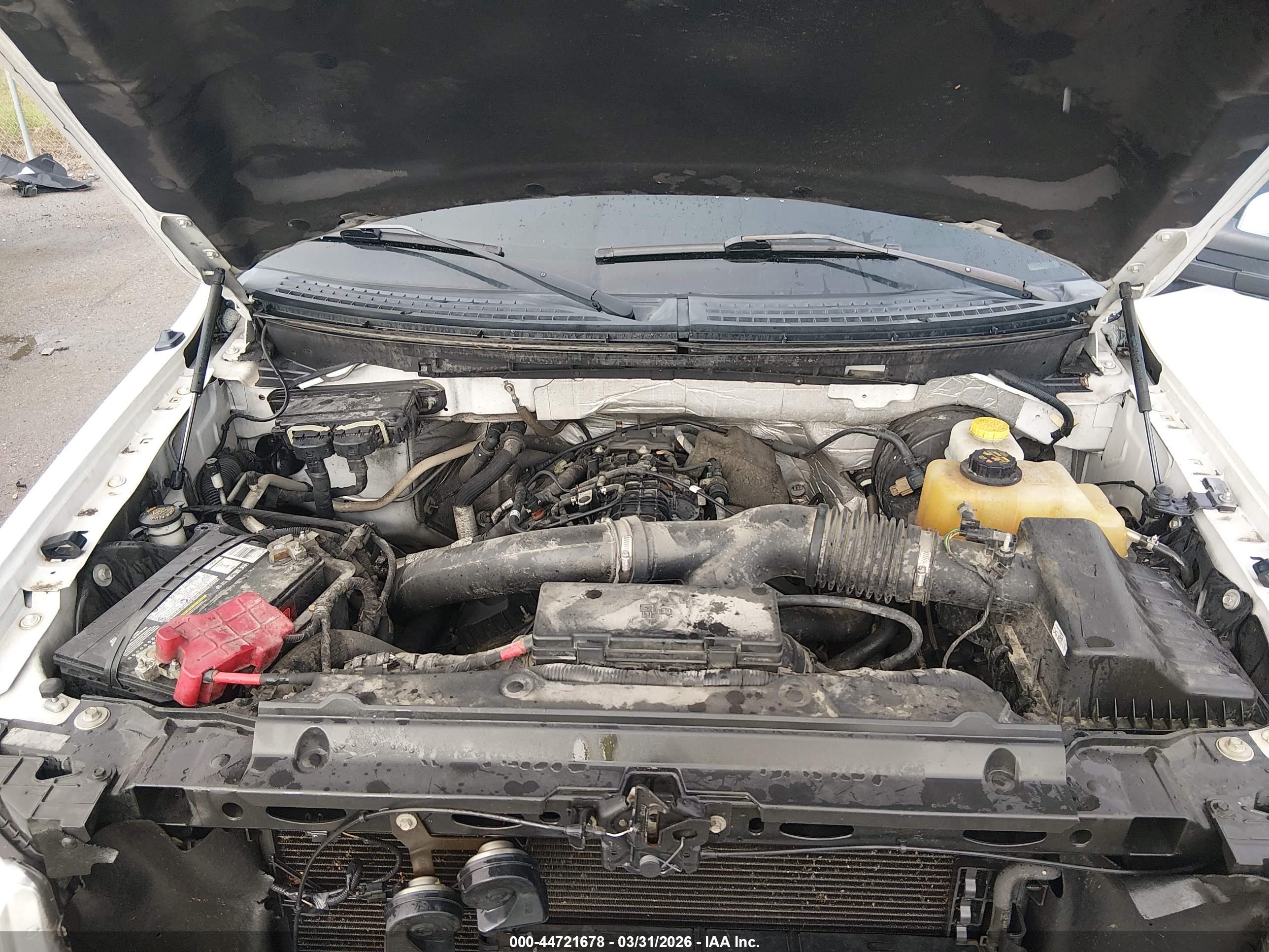 FORD F-150 image 10