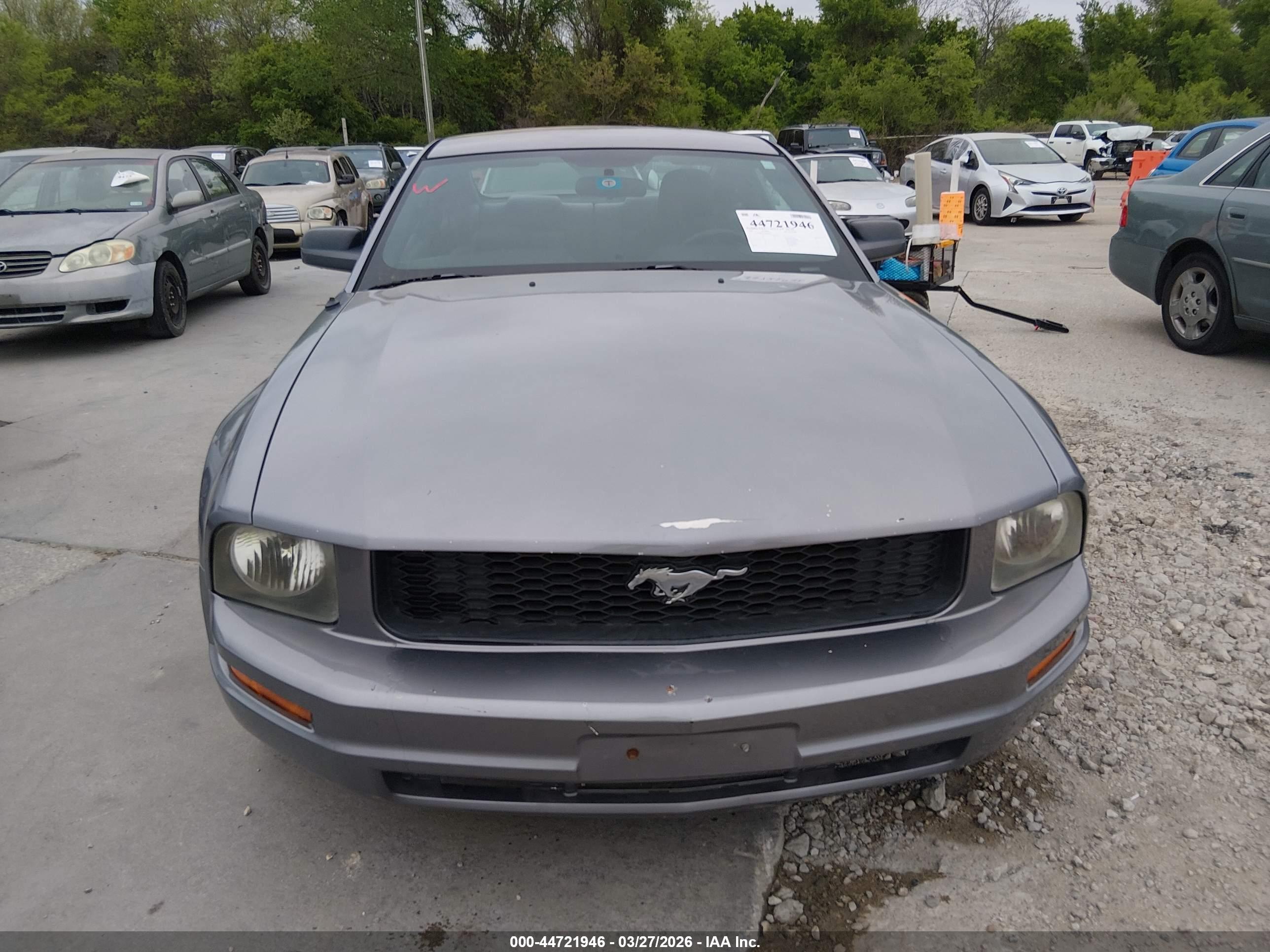 FORD MUSTANG image 6