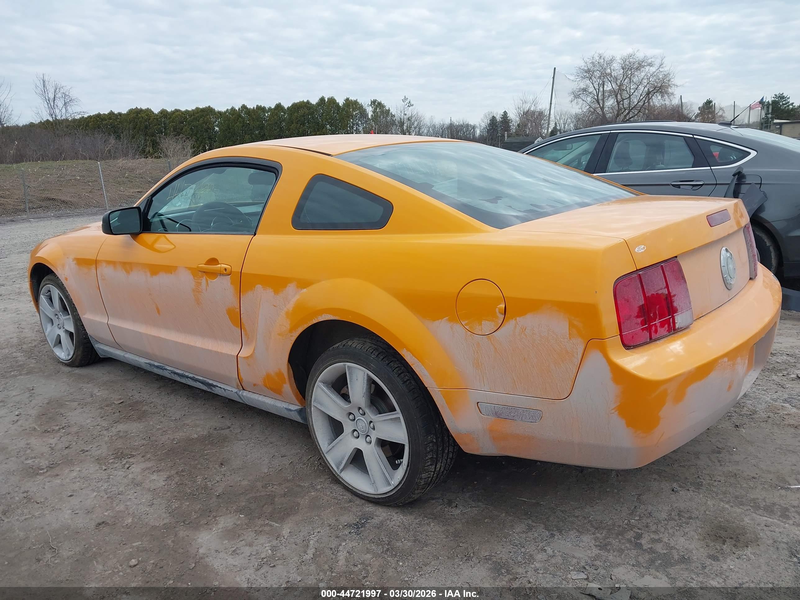 FORD MUSTANG image 3