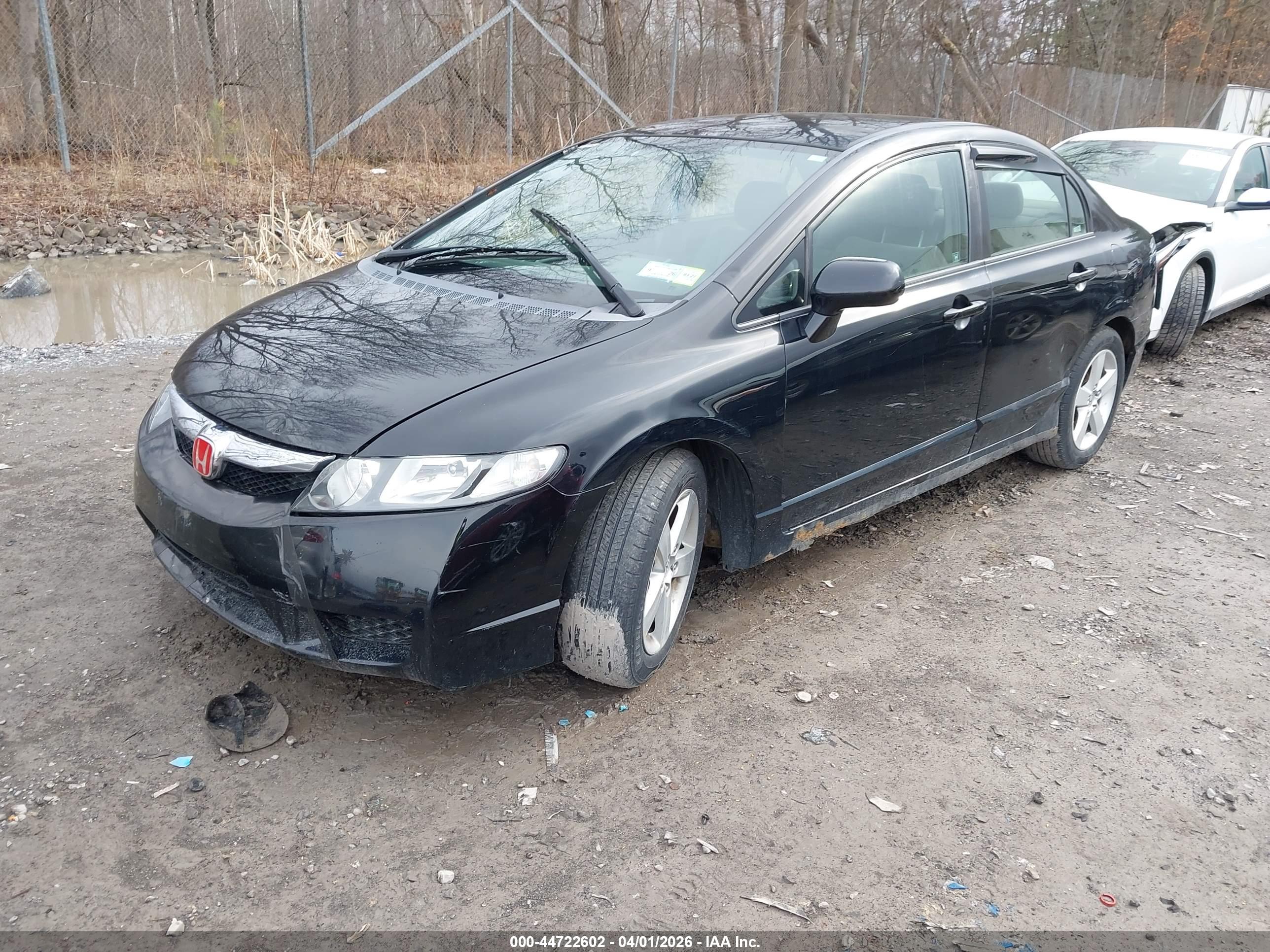 HONDA CIVIC image 2