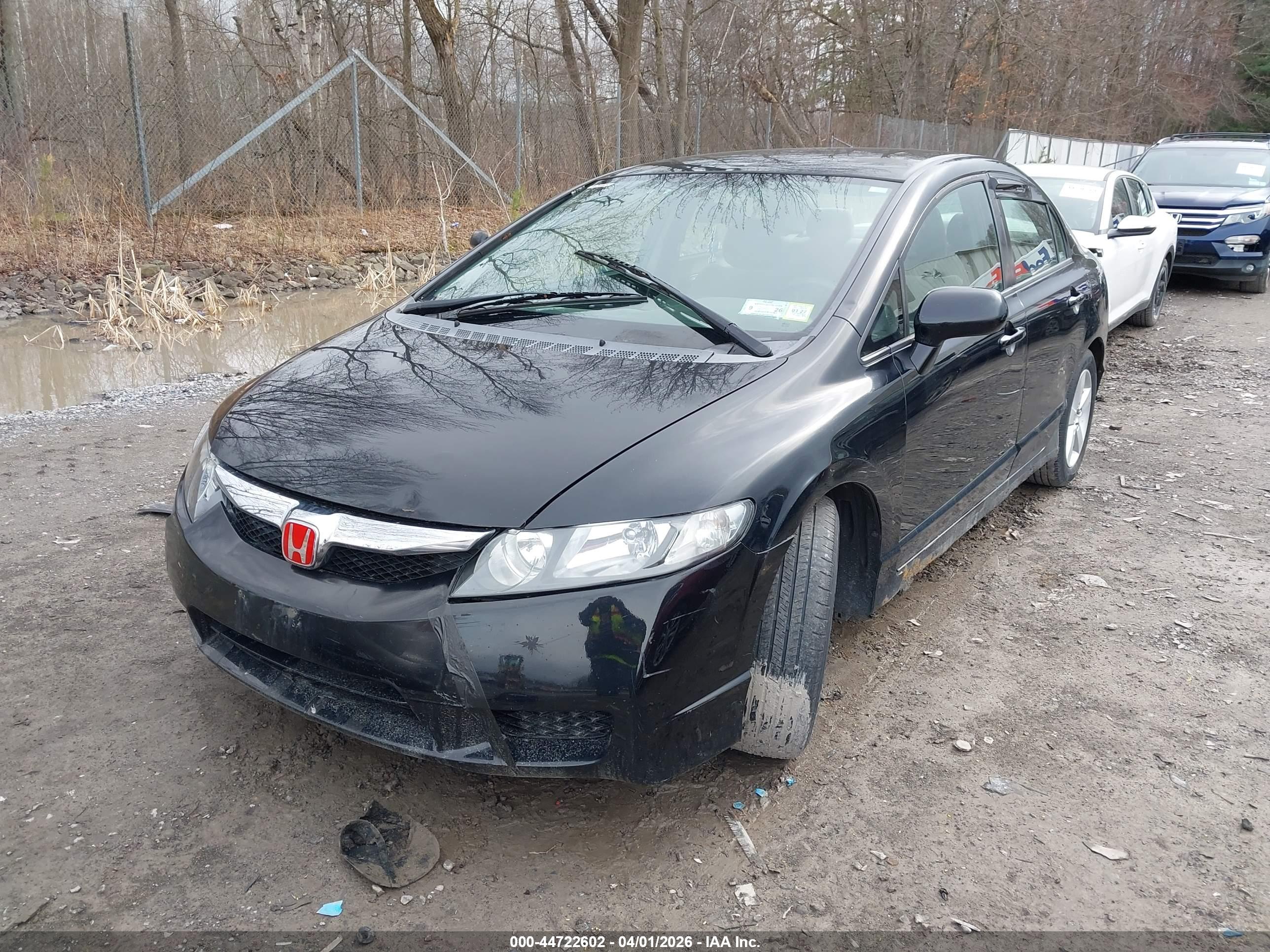 HONDA CIVIC image 6