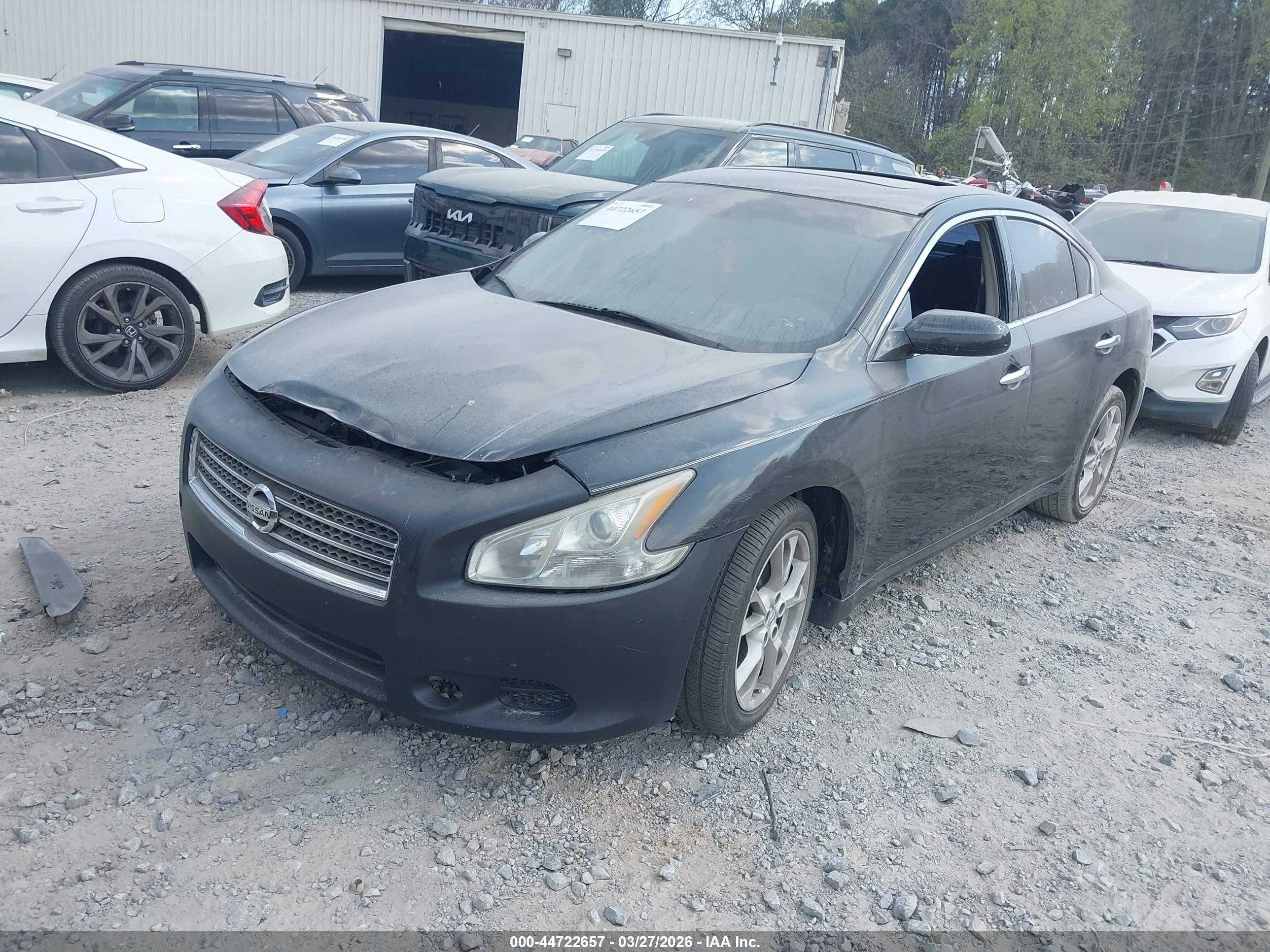 NISSAN MAXIMA image 2