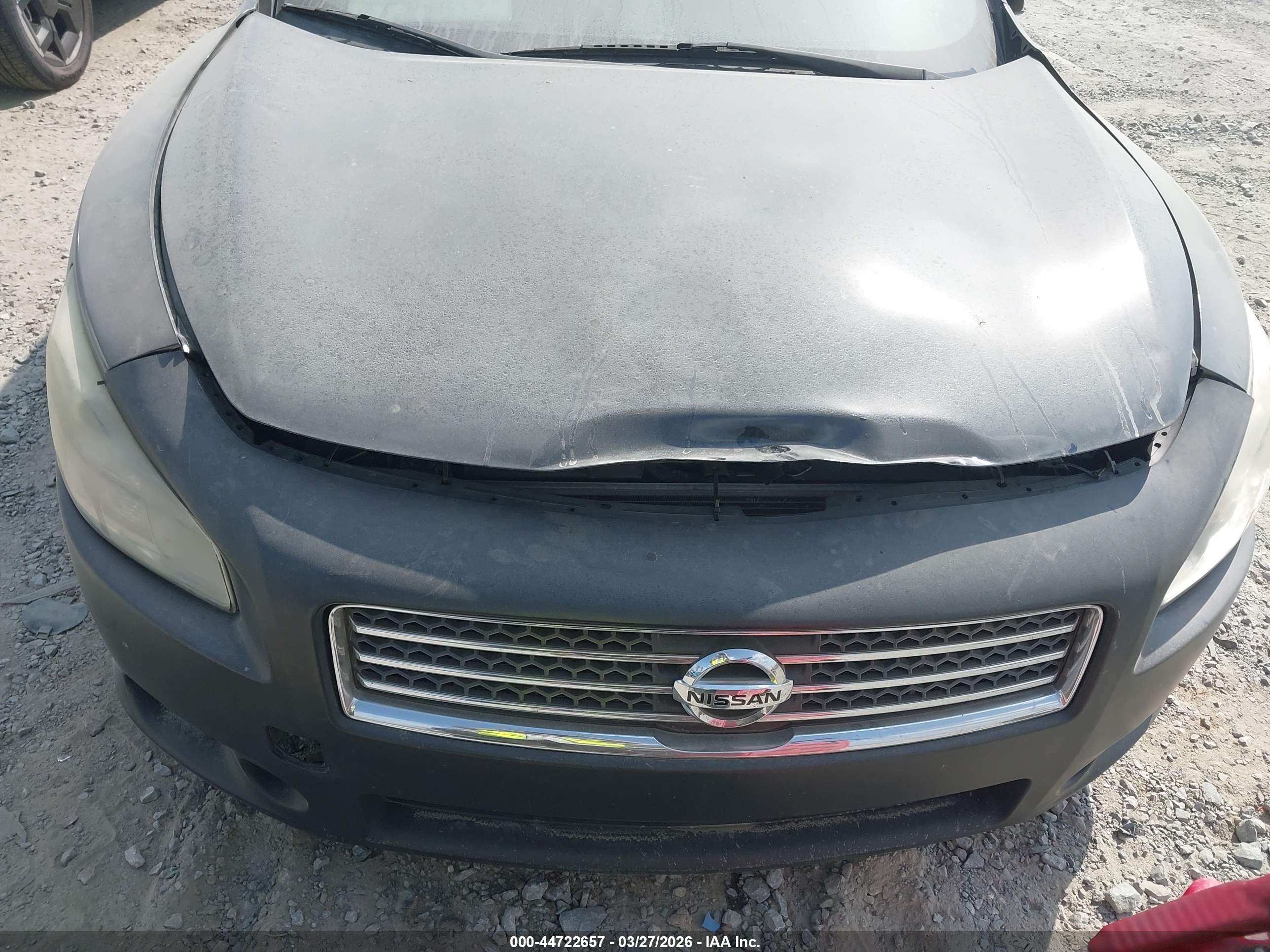 NISSAN MAXIMA image 6