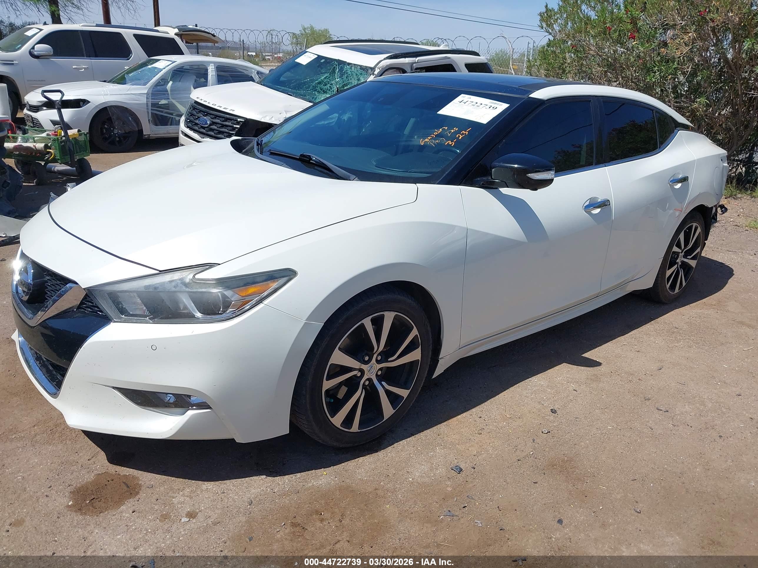 NISSAN MAXIMA image 2
