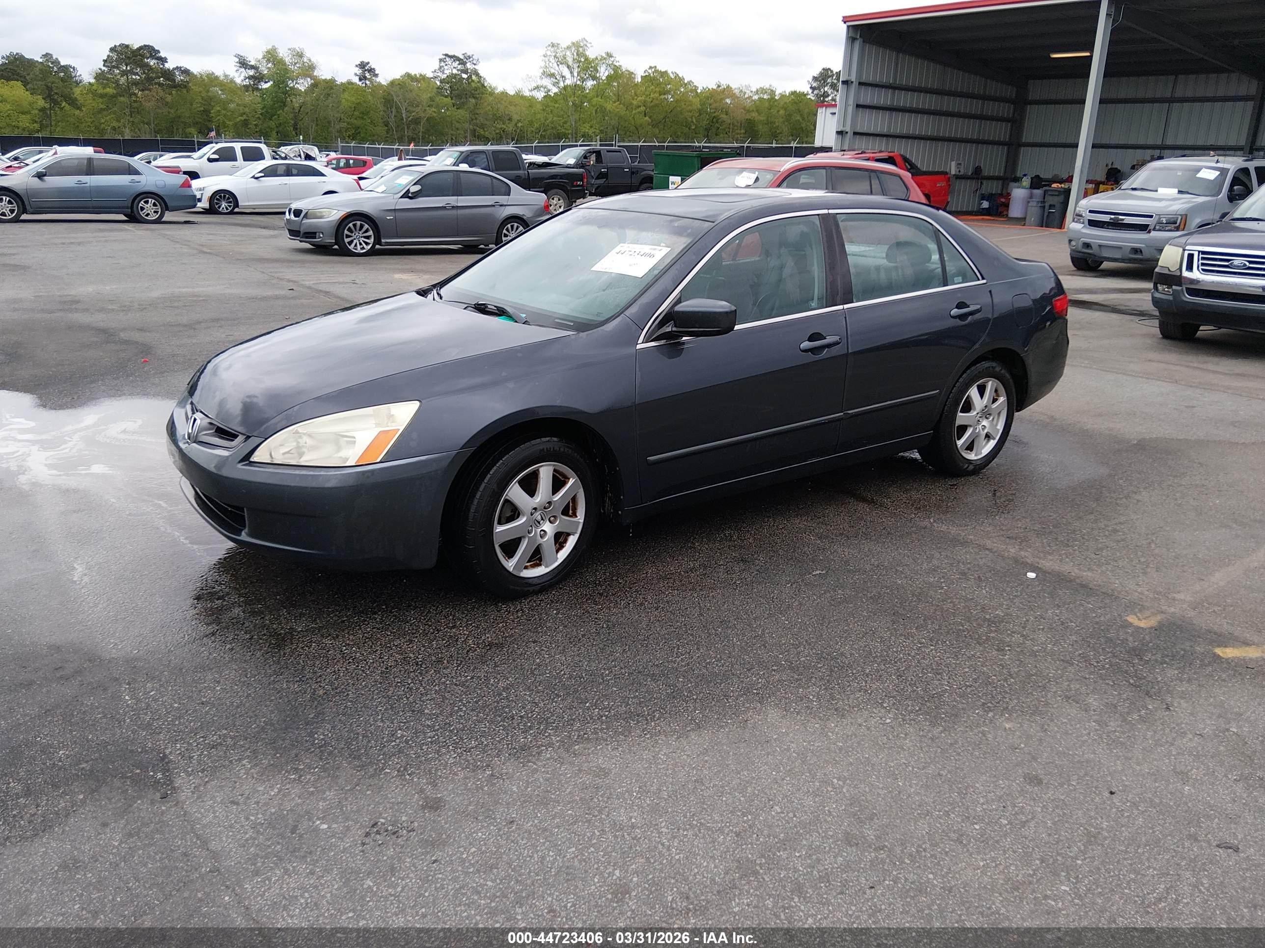 HONDA ACCORD image 2